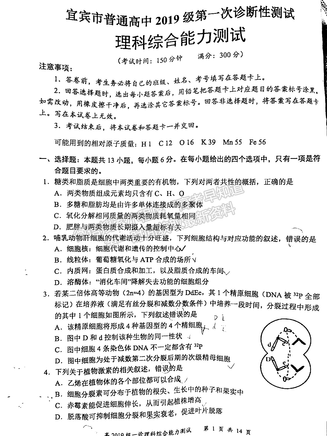 2022四川省宜賓市普通高中2019級第一次診斷考試?yán)砜凭C合試題及答案