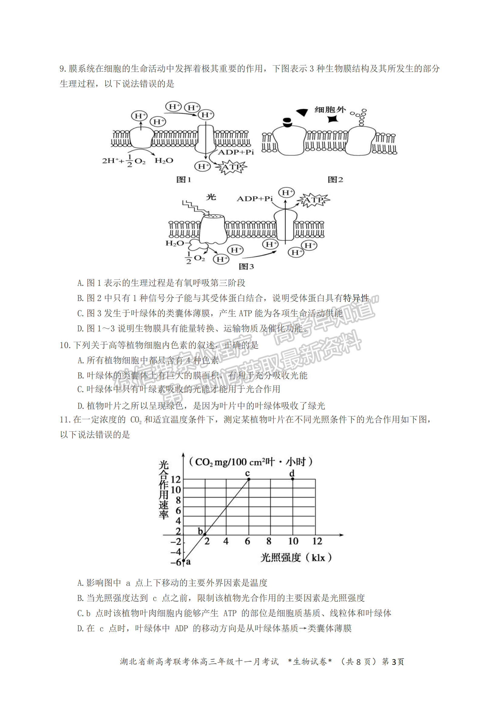 2021年湖北新高考聯(lián)考協(xié)作體高三十一月聯(lián)考生物試題及答案