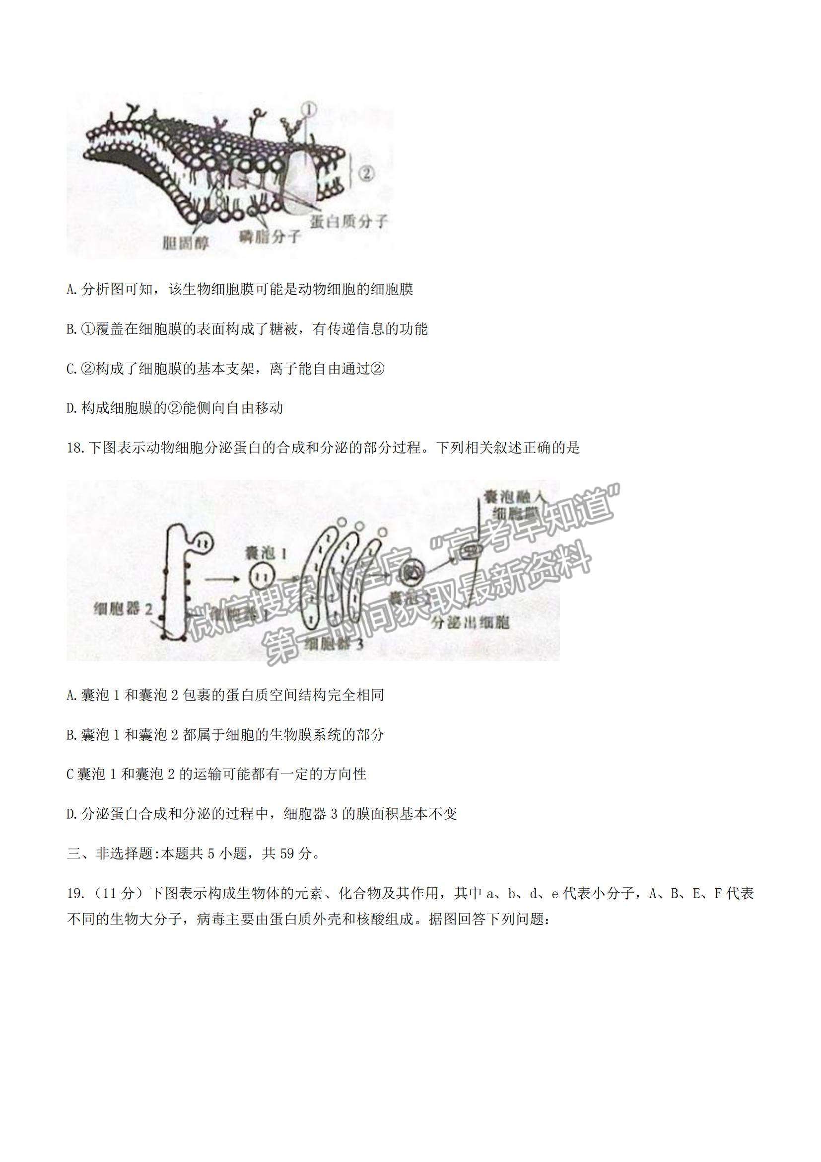 2022河北省保定市部分學校聯(lián)考高一上學期期中考試生物試題及參考答案