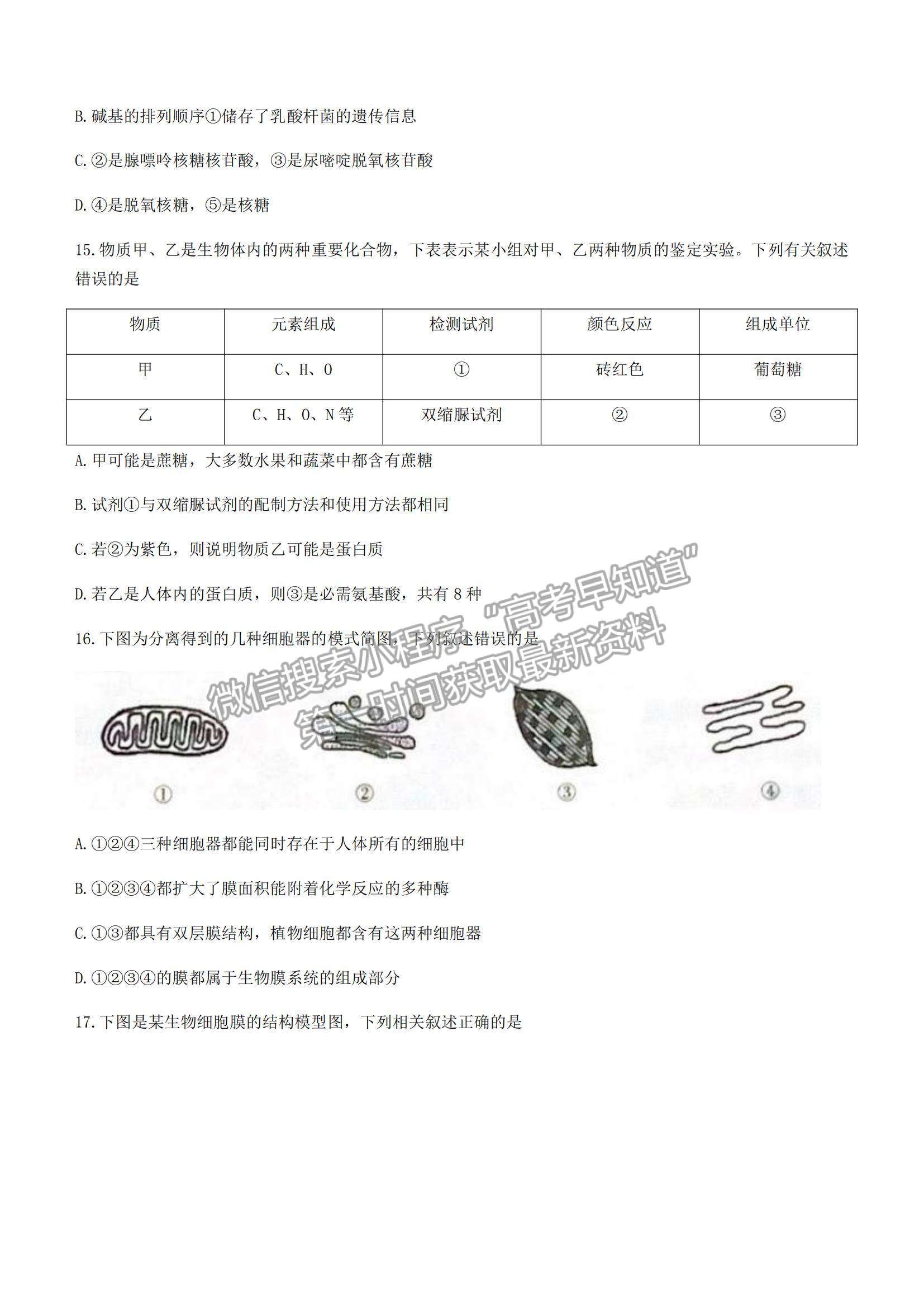 2022河北省保定市部分學(xué)校聯(lián)考高一上學(xué)期期中考試生物試題及參考答案