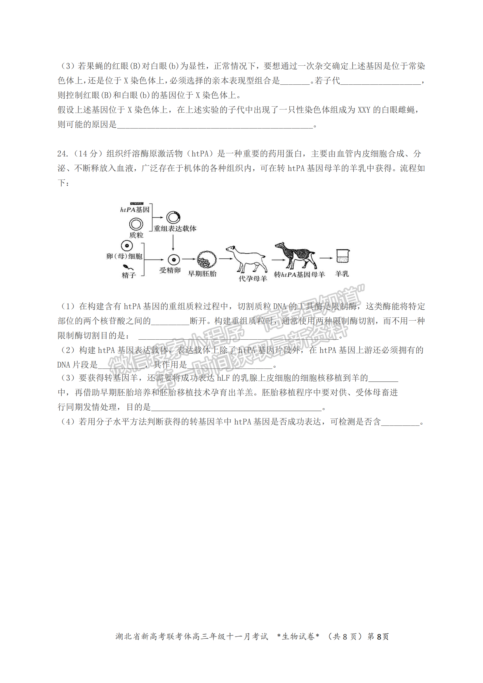 2021年湖北新高考聯(lián)考協(xié)作體高三十一月聯(lián)考生物試題及答案