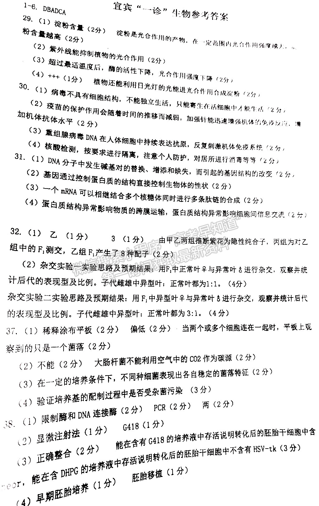 2022四川省宜賓市普通高中2019級(jí)第一次診斷考試?yán)砜凭C合試題及答案