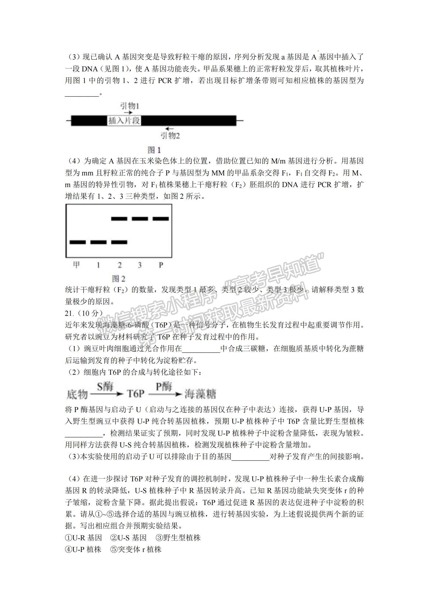 2021年高考北京卷生物真題試卷及參考答案