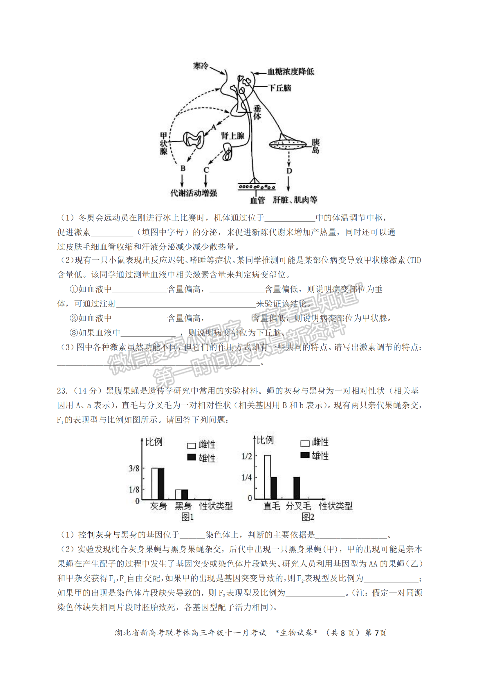 2021年湖北新高考聯(lián)考協(xié)作體高三十一月聯(lián)考生物試題及答案