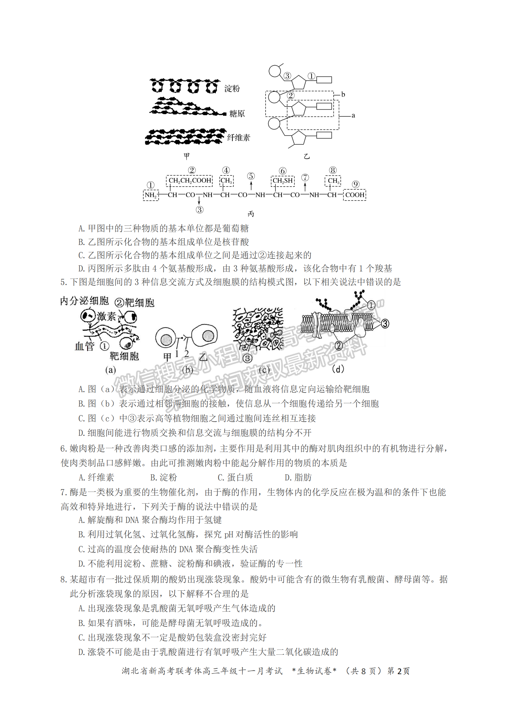 2021年湖北新高考聯(lián)考協(xié)作體高三十一月聯(lián)考生物試題及答案