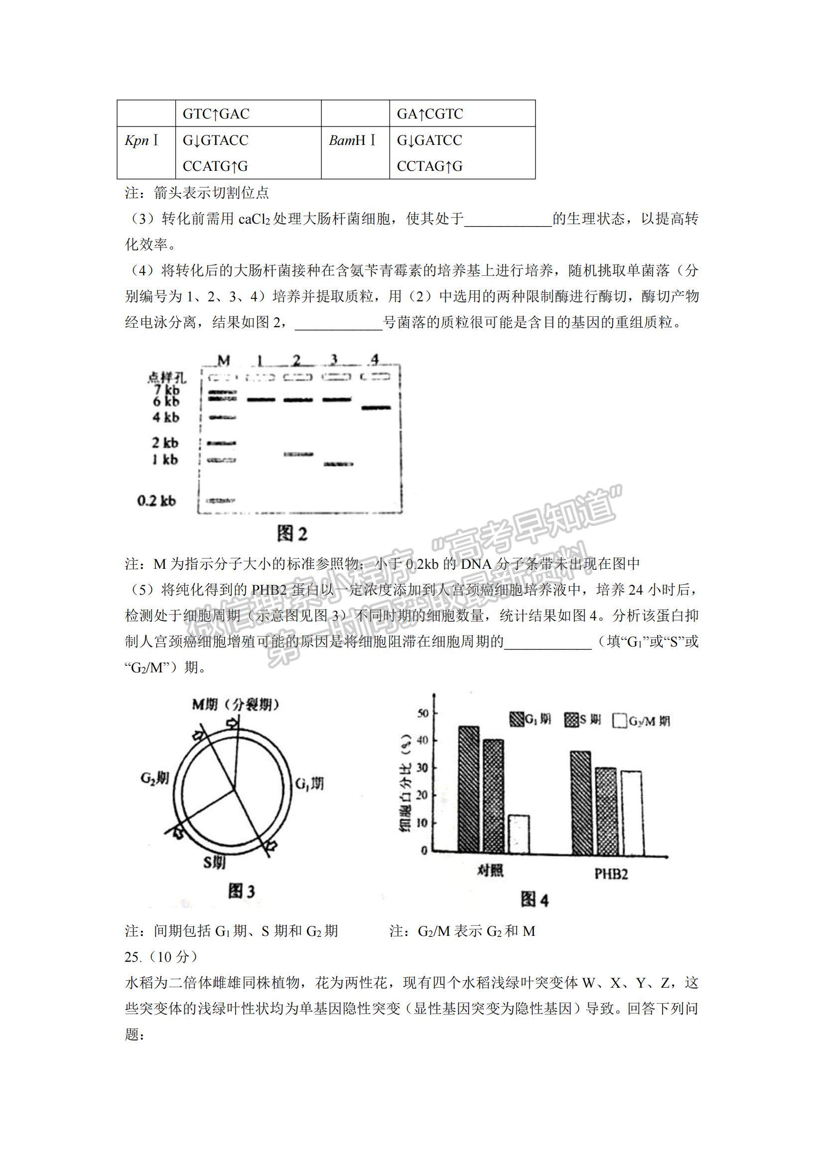 2021年遼寧高考生物真題及參考答案