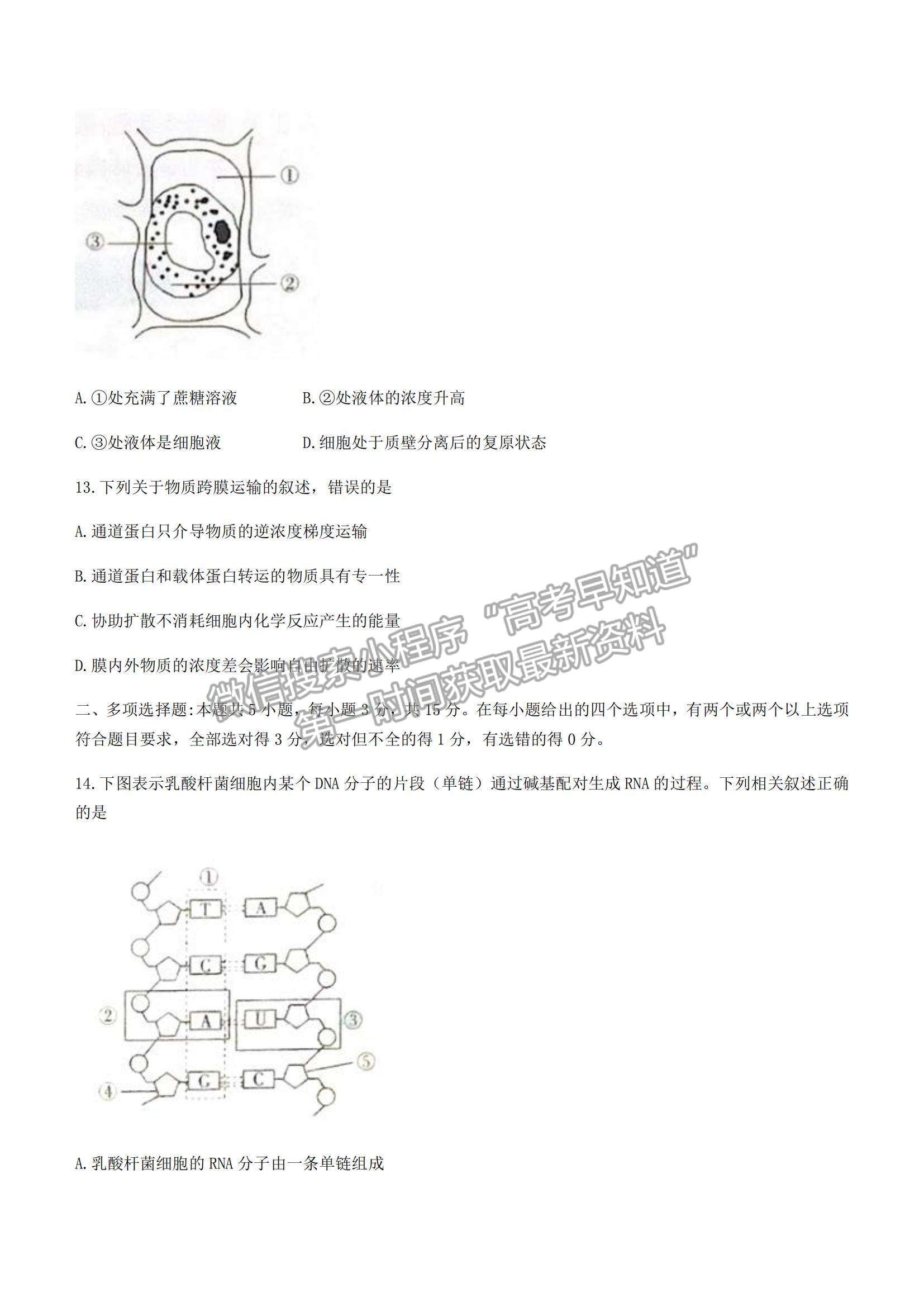 2022河北省保定市部分學校聯(lián)考高一上學期期中考試生物試題及參考答案