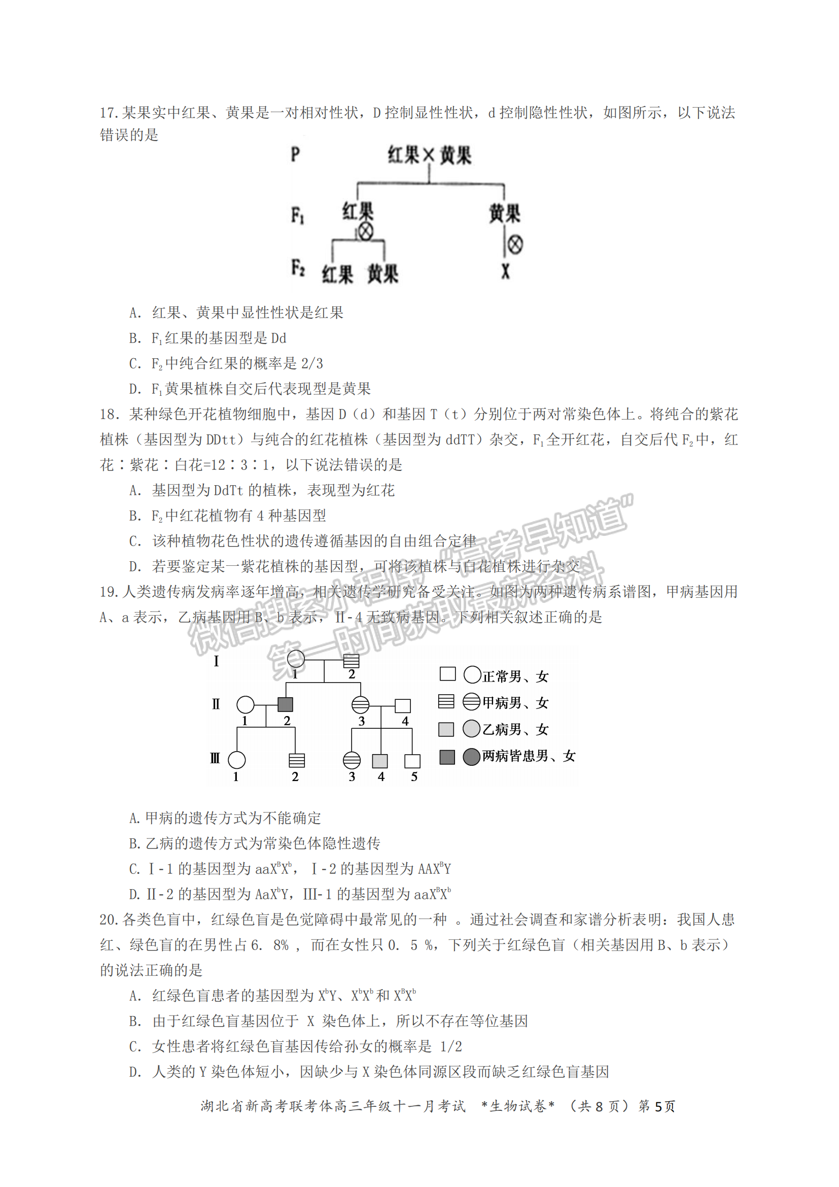 2021年湖北新高考聯(lián)考協(xié)作體高三十一月聯(lián)考生物試題及答案