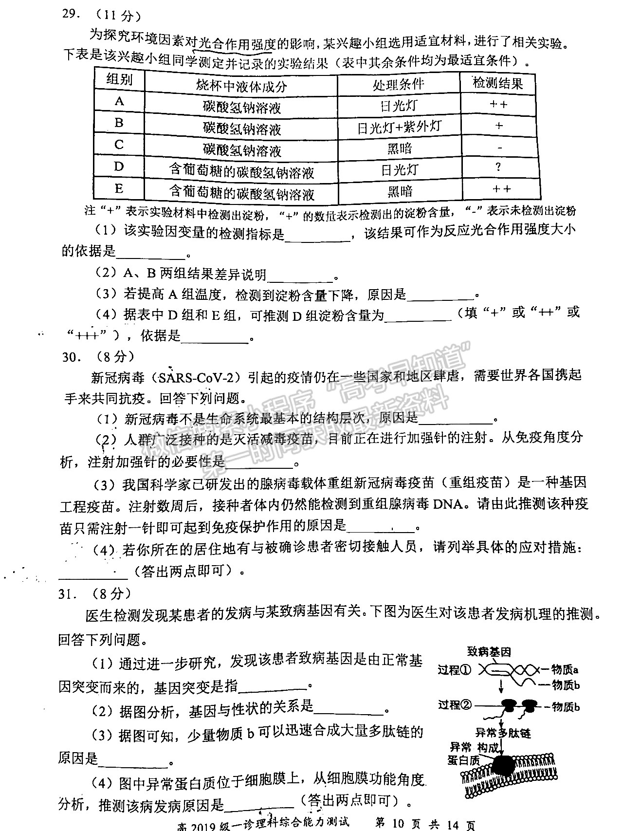 2022四川省宜賓市普通高中2019級(jí)第一次診斷考試?yán)砜凭C合試題及答案