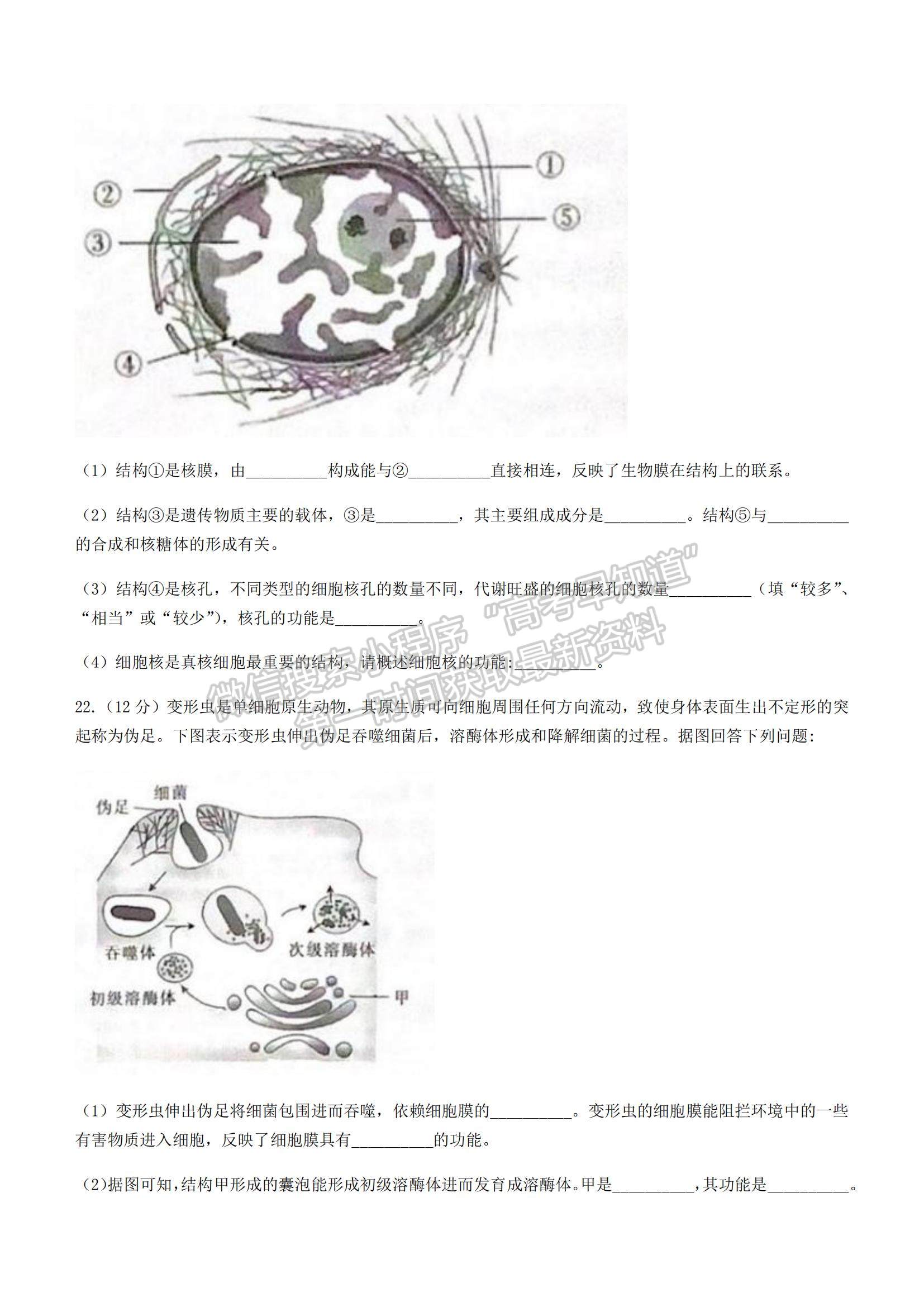 2022河北省保定市部分學校聯(lián)考高一上學期期中考試生物試題及參考答案