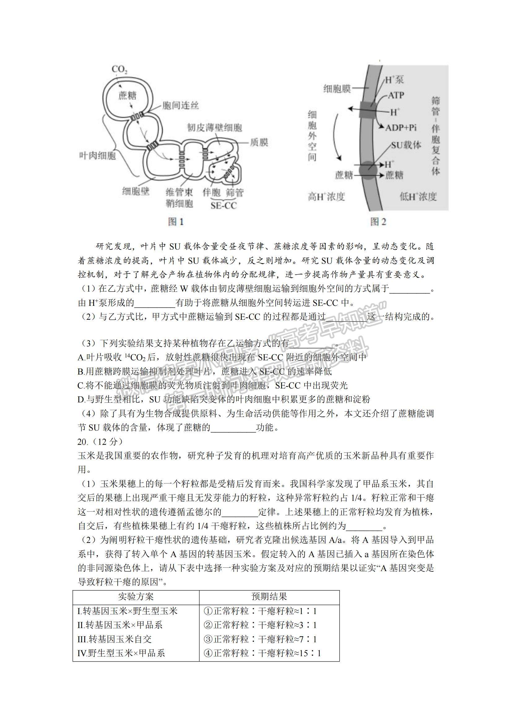 2021年高考北京卷生物真題試卷及參考答案