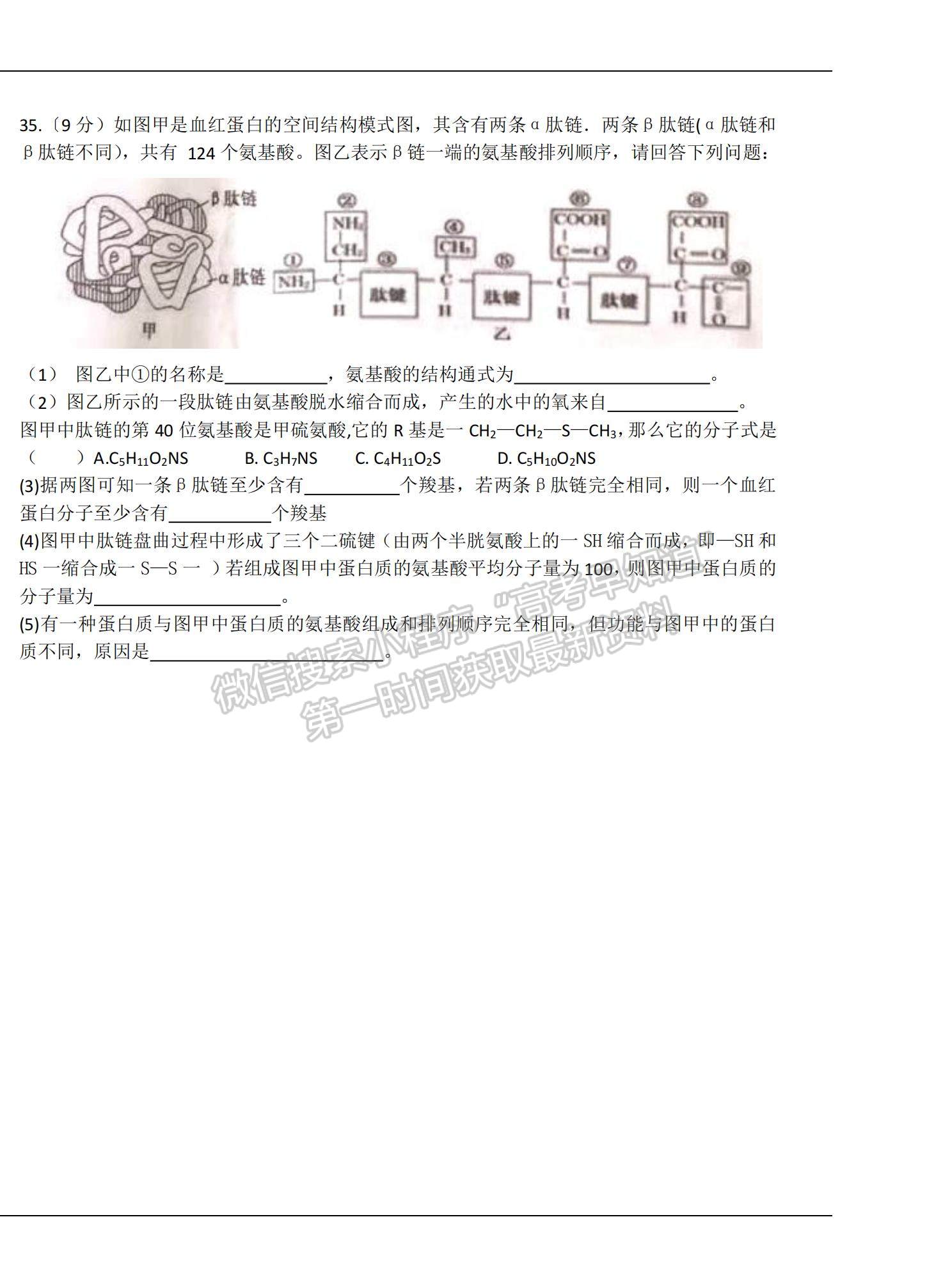 2022吉林省大安市第六中學(xué)高一上學(xué)期期中考試生物試題及參考答案