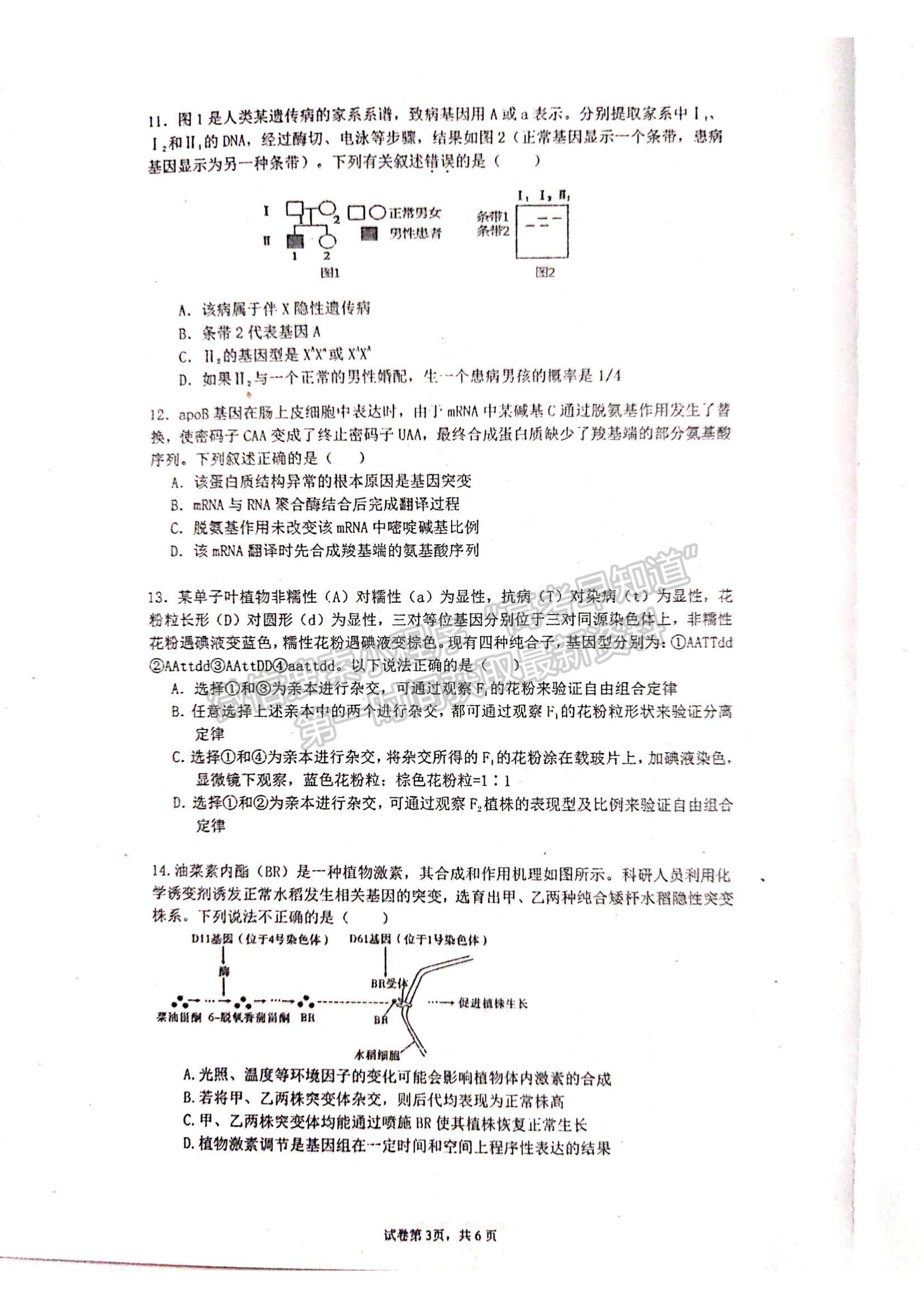 2022福州一中高三上學期期中考試生物試題及參考答案