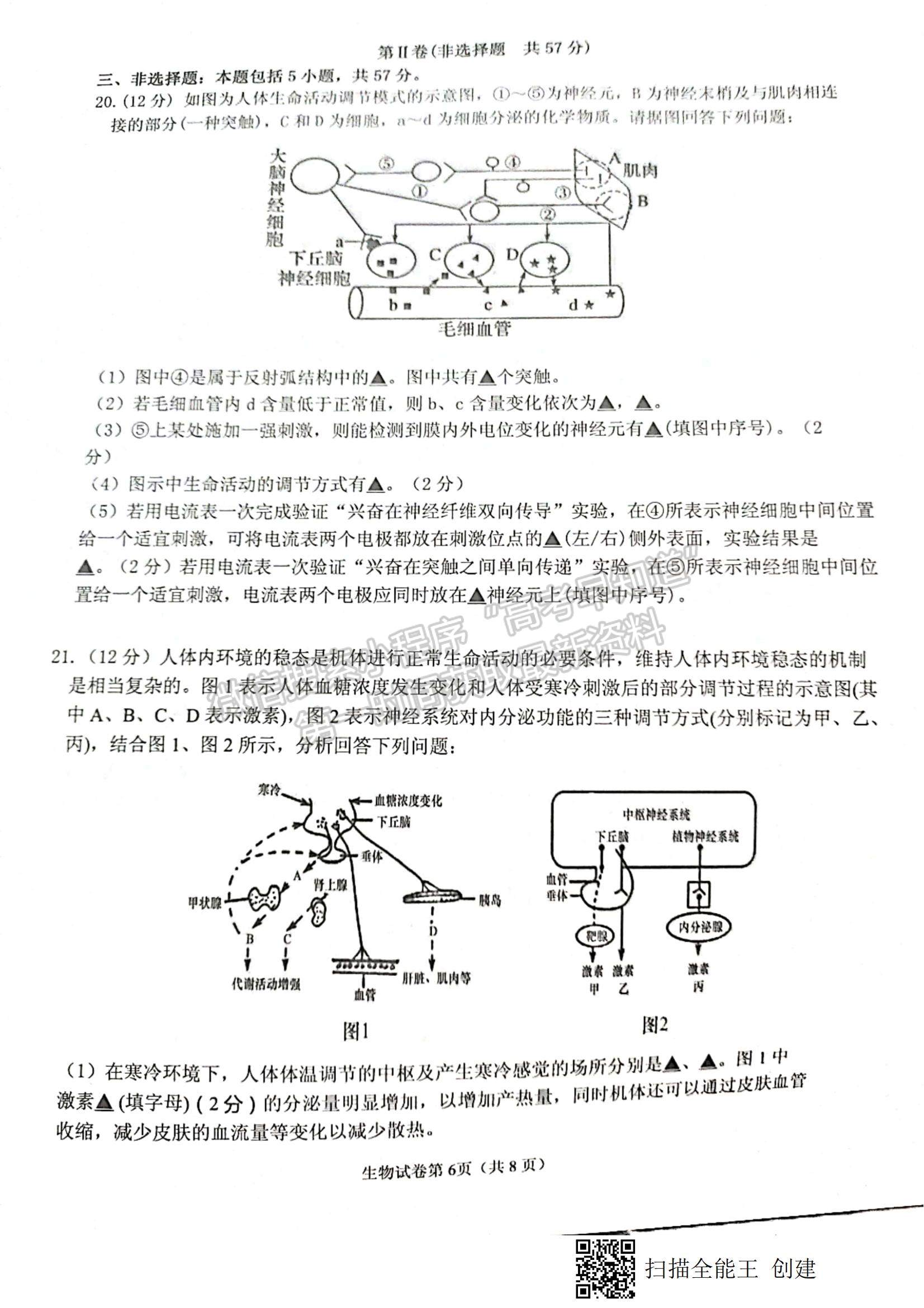 2022江蘇省丹陽市高二上學(xué)期期中質(zhì)量檢測生物試題及參考答案