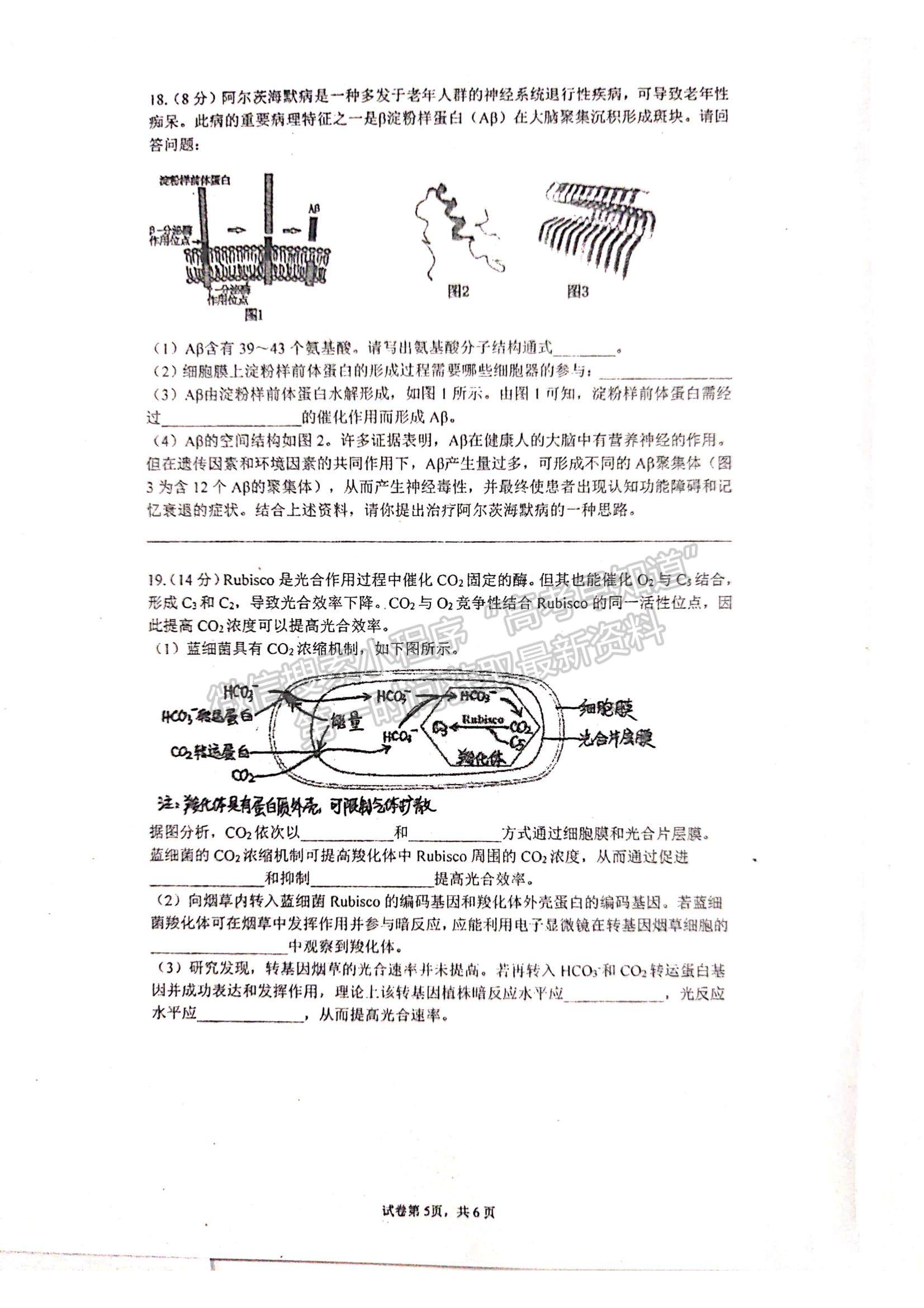 2022福州一中高三上學(xué)期期中考試生物試題及參考答案