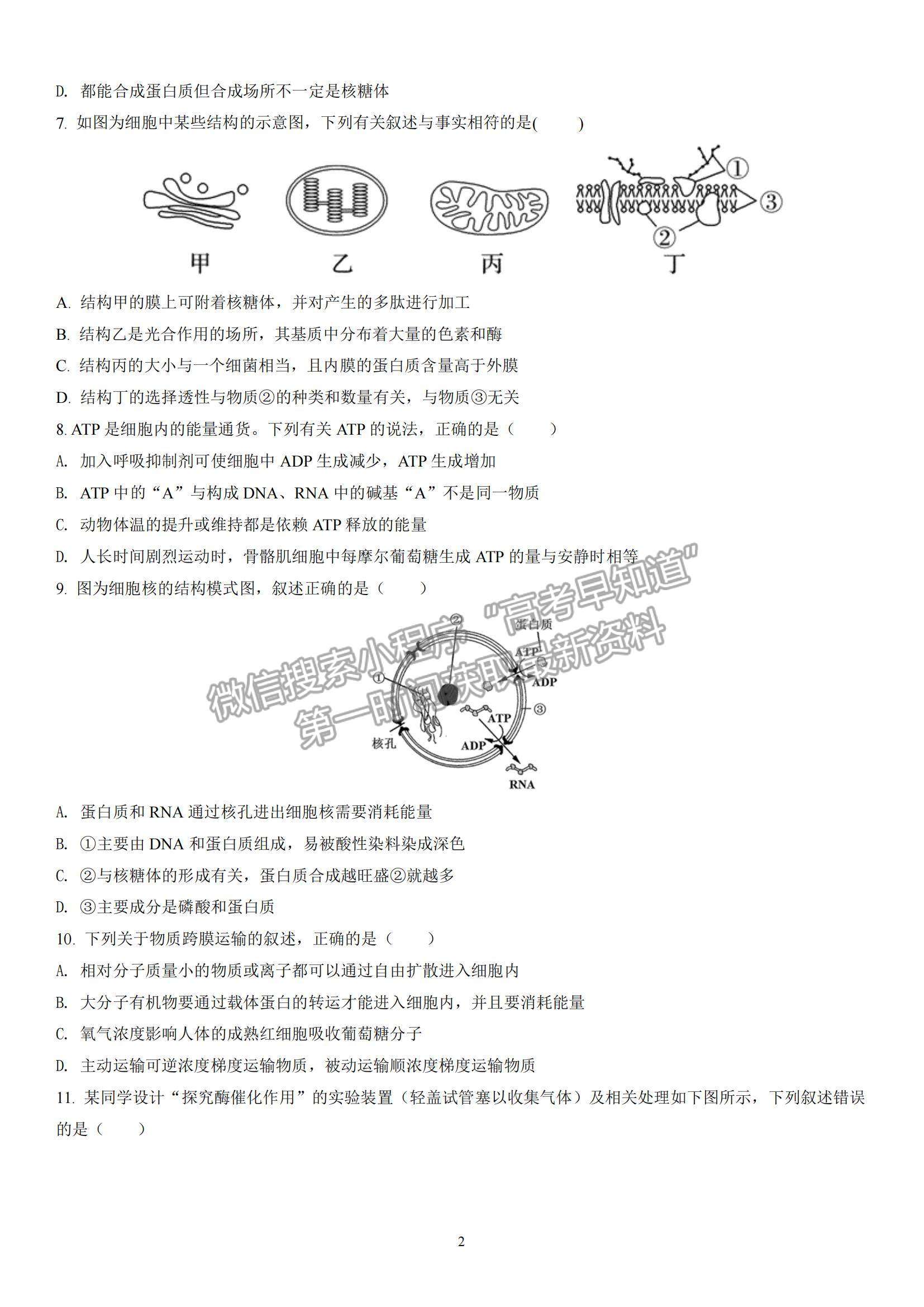 2022廣東梅縣東山中學(xué)高三第一學(xué)期中段考試生物試題及參考答案