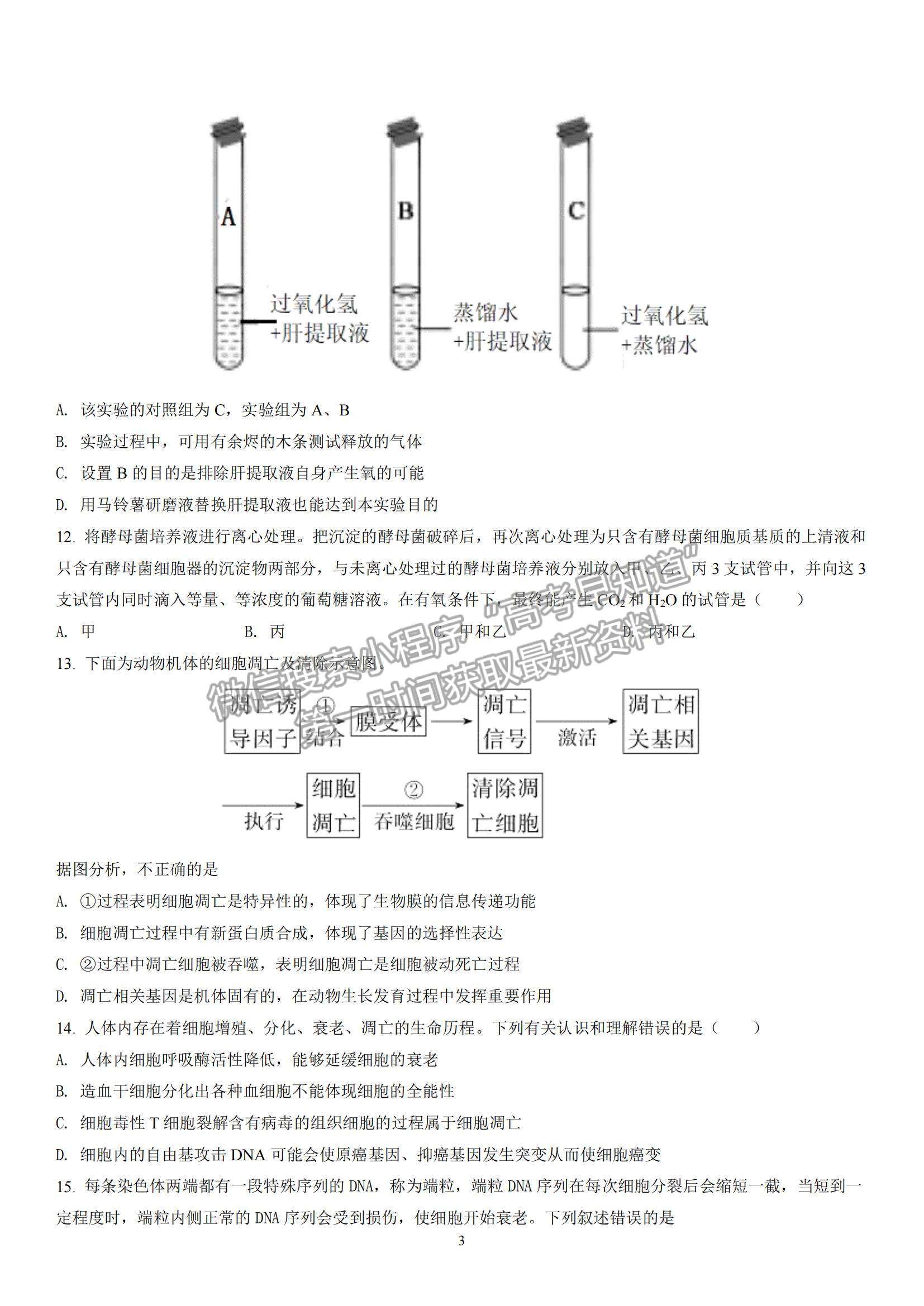 2022廣東梅縣東山中學(xué)高三第一學(xué)期中段考試生物試題及參考答案