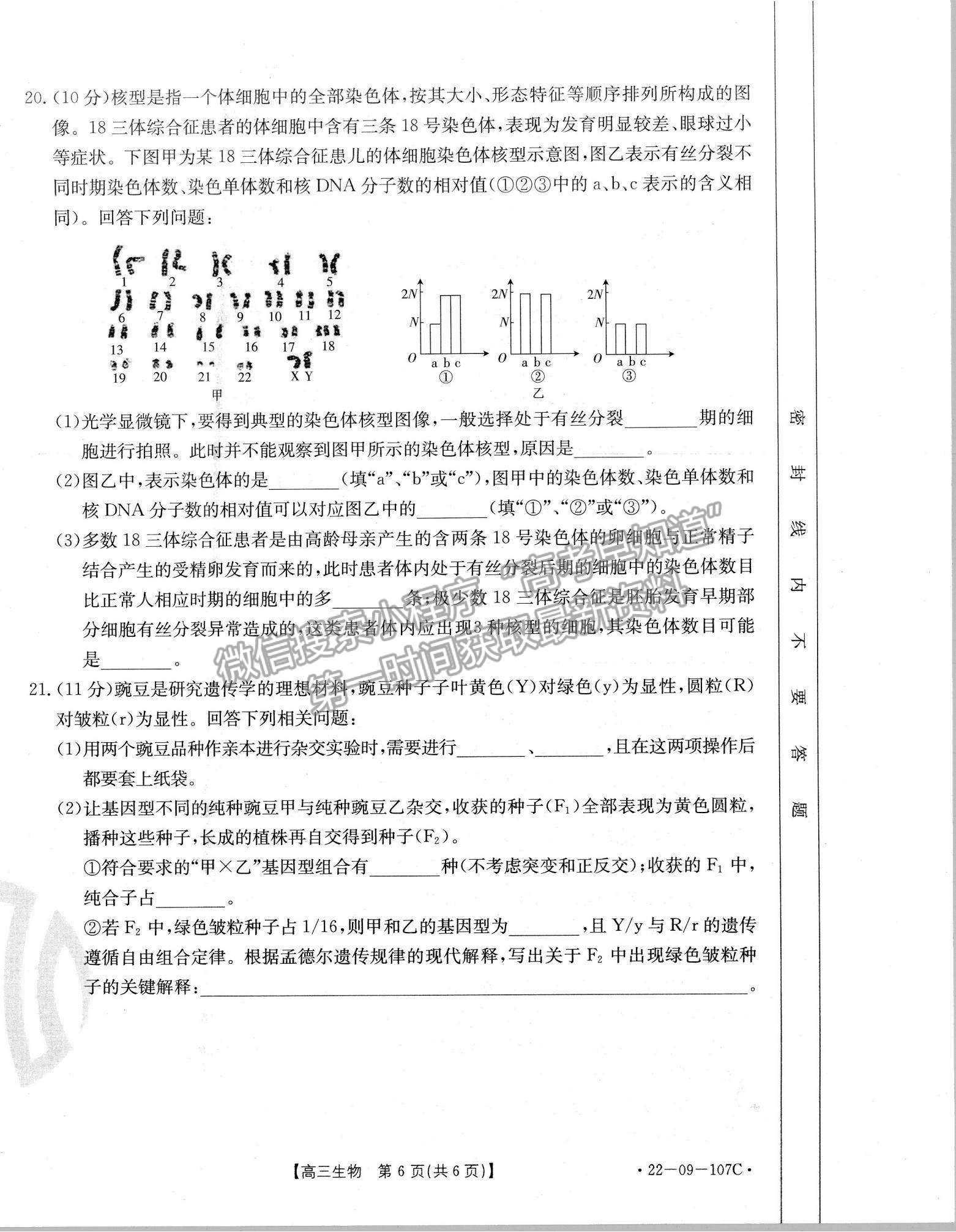 2022福建高三11月聯(lián)考生物試題及參考答案