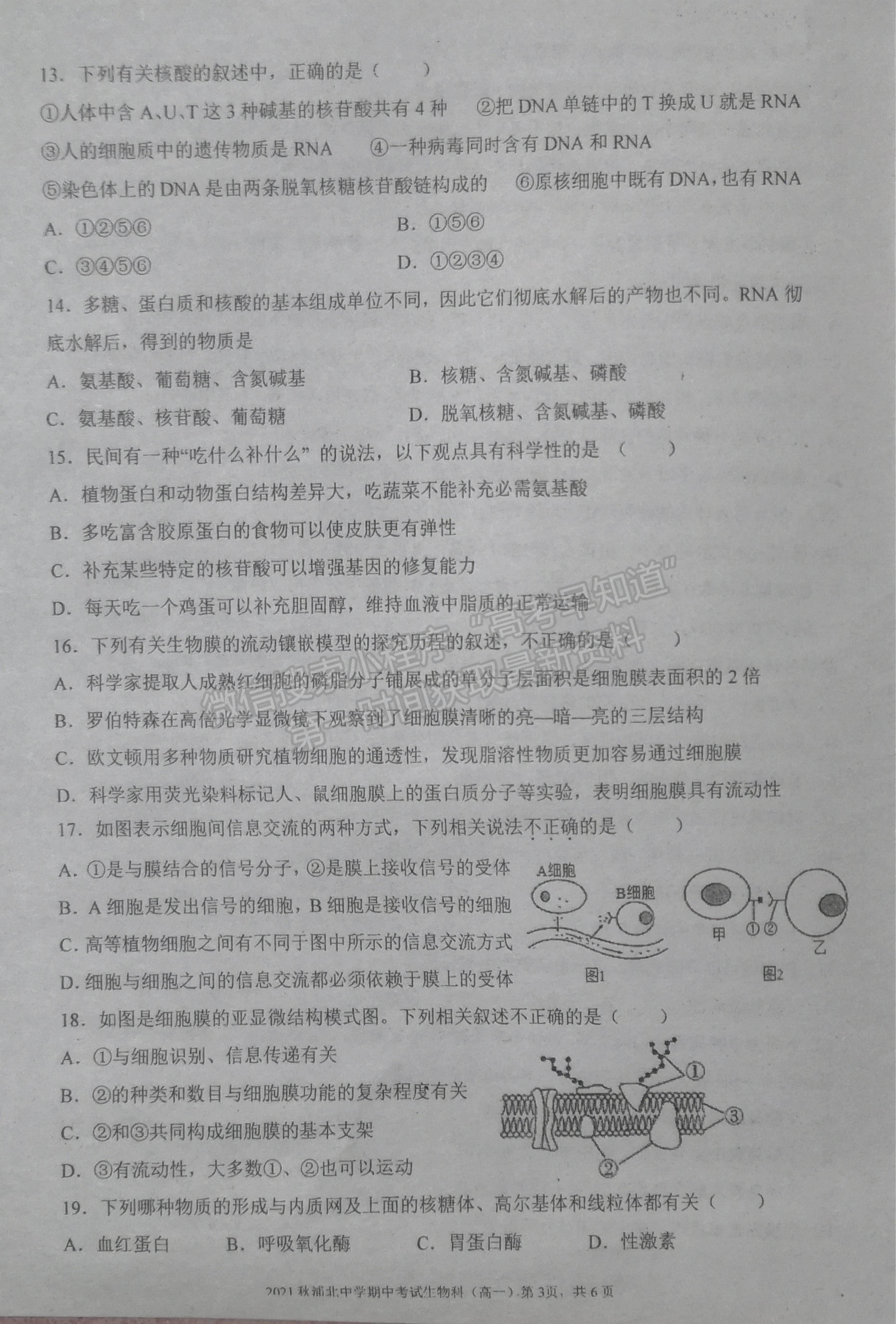 2022廣西浦北中學高一上學期期中考試生物試題及參考答案