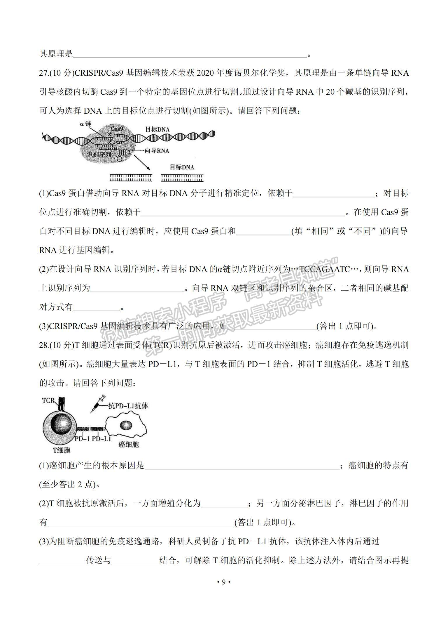 2021河南省周口市商丘市大聯(lián)考高三高中畢業(yè)班階段性測試（三）生物試題及參考答案