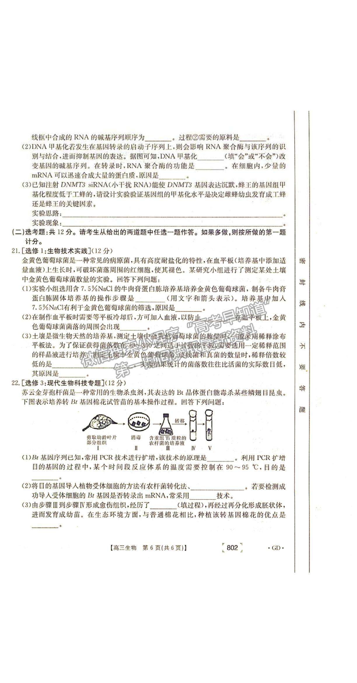 2022廣東省韶關(guān)高三11月聯(lián)考生物試題及參考答案