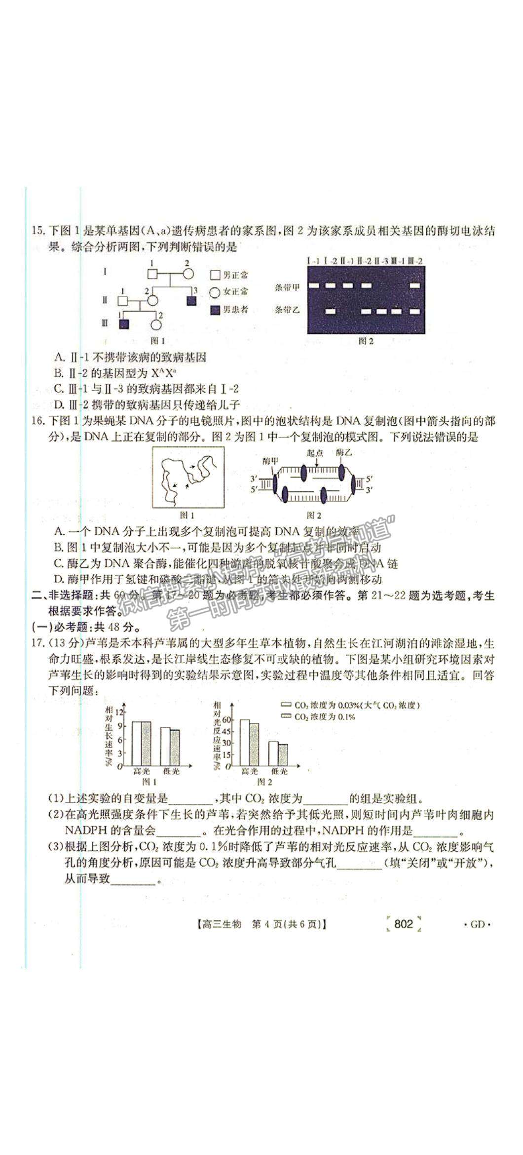 2022廣東省韶關高三11月聯(lián)考生物試題及參考答案