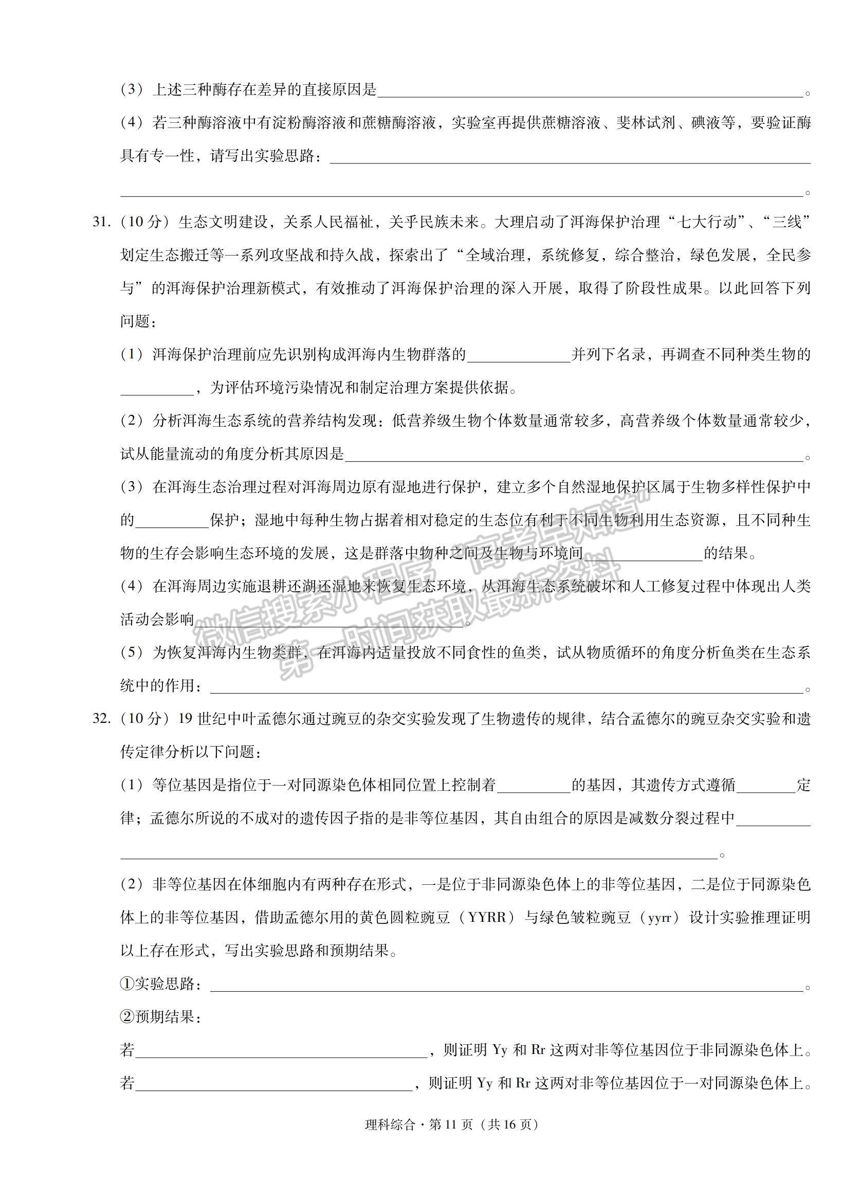 2022云南省云天化中學下關一中高三復習備考聯(lián)合質量檢測卷（二）理綜試題及參考答案