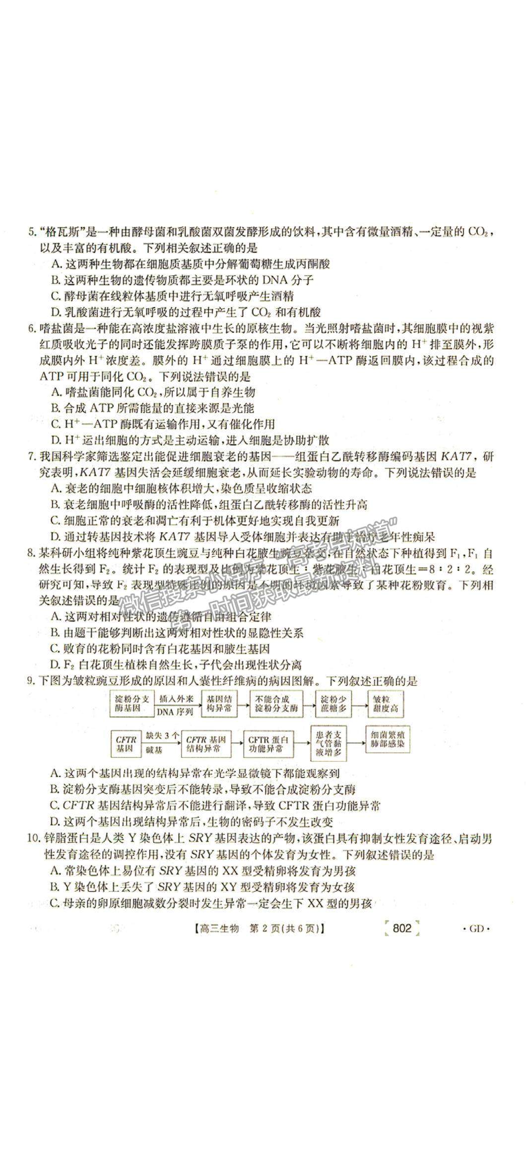 2022廣東省韶關高三11月聯(lián)考生物試題及參考答案