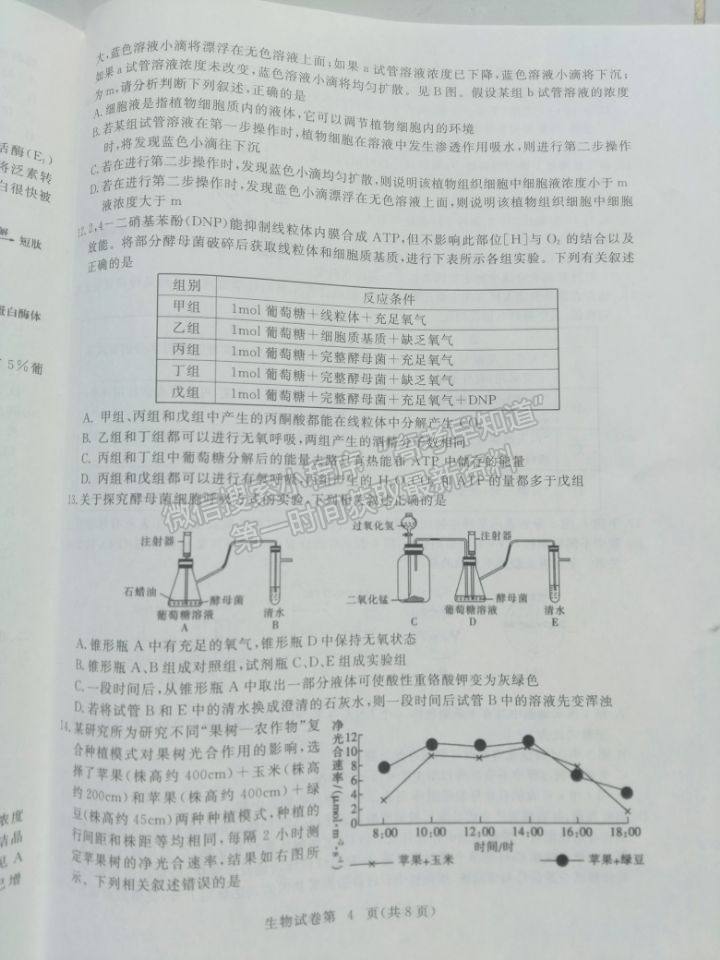 2022湖北省黃石市高三9月聯(lián)考生物試題及參考答案