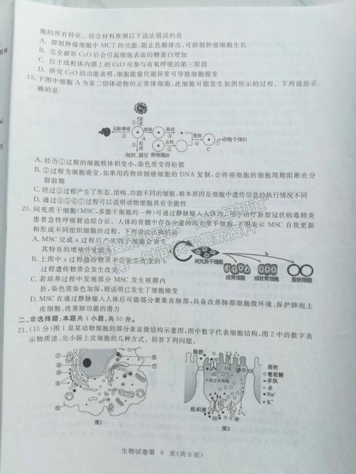 2022湖北省黃石市高三9月聯(lián)考生物試題及參考答案