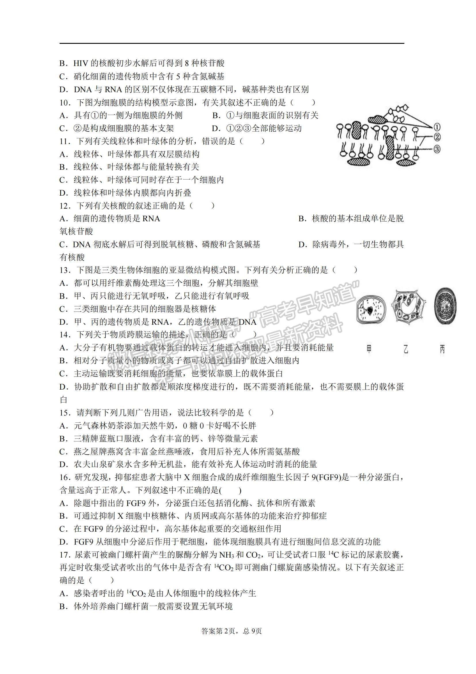 2022寧夏石嘴山市平羅中學(xué)高三上學(xué)期期中考試生物試題及參考答案