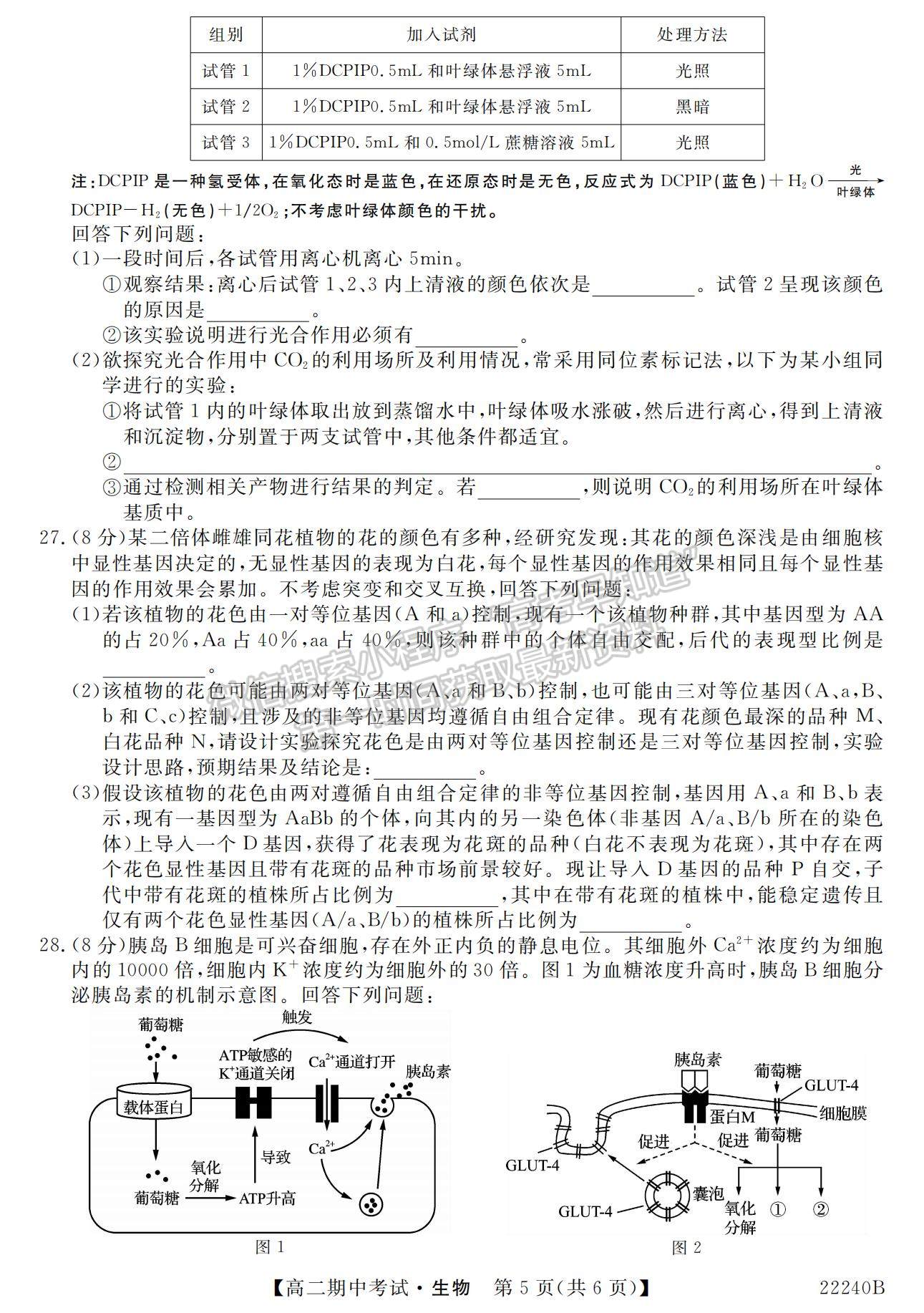 2022河南省頂尖名校聯(lián)盟高二上學(xué)期期中考試生物試題及參考答案