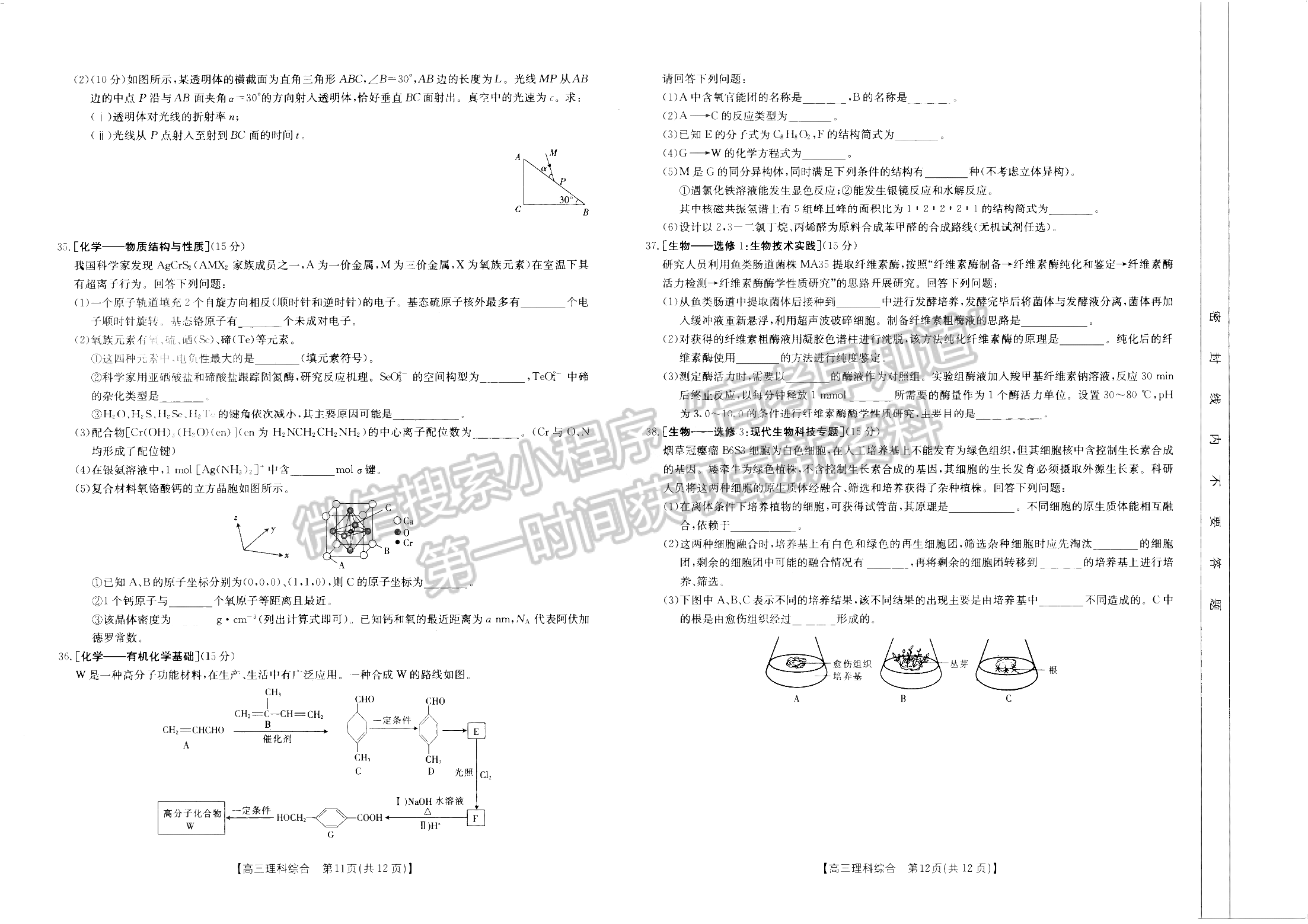 2022新鄉(xiāng)一模（22-10-146C）理綜試卷及參考答案