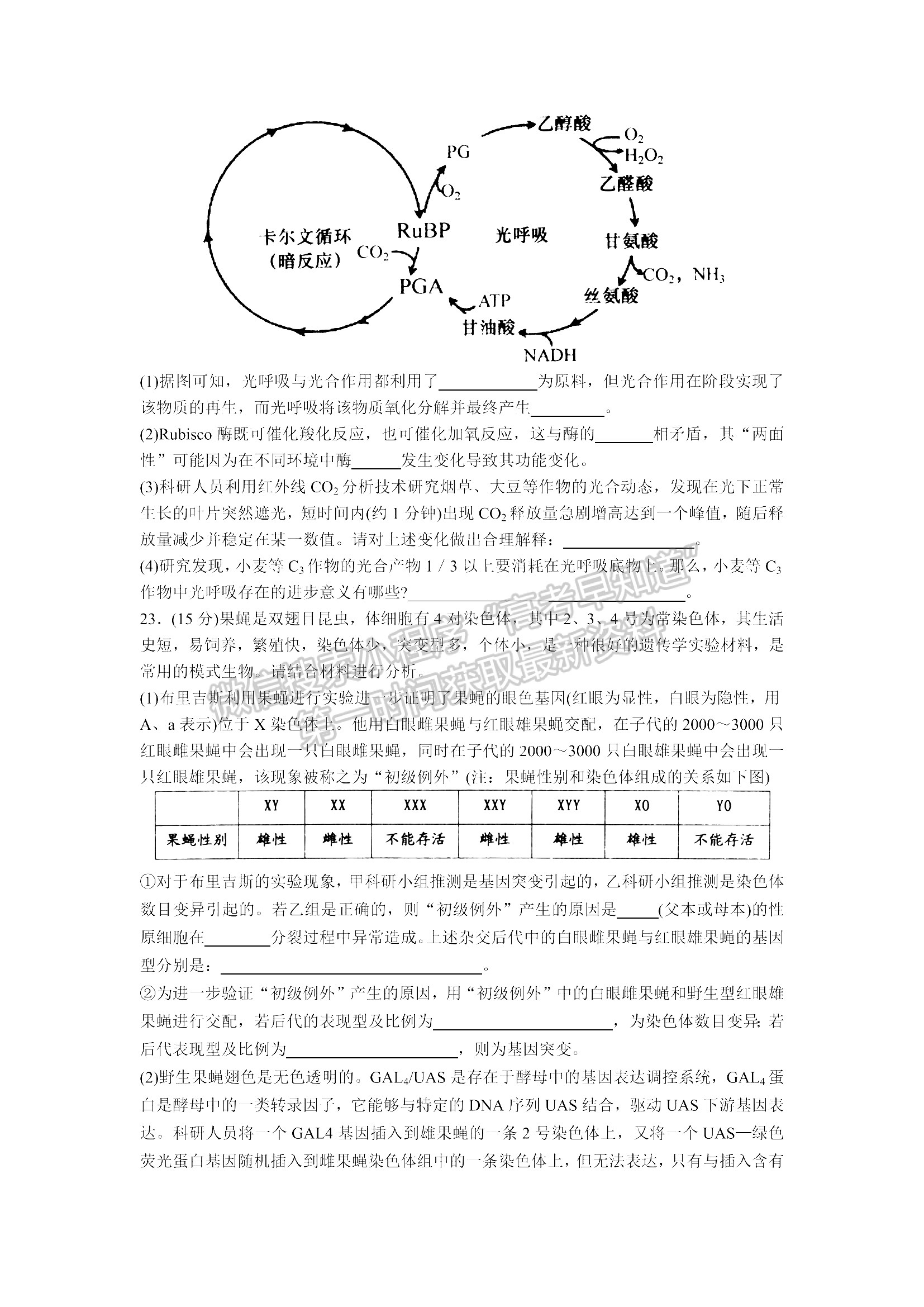 山東青島市2021—2022學(xué)年度第一學(xué)期教學(xué)質(zhì)量檢測 生物試題及參考答案