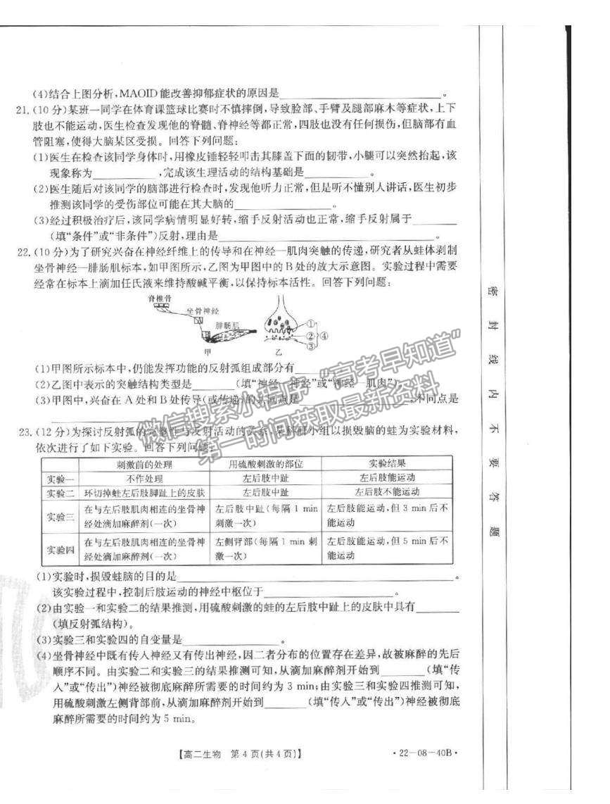 2022河北省邢臺市高二10月聯考生物試題及參考答案