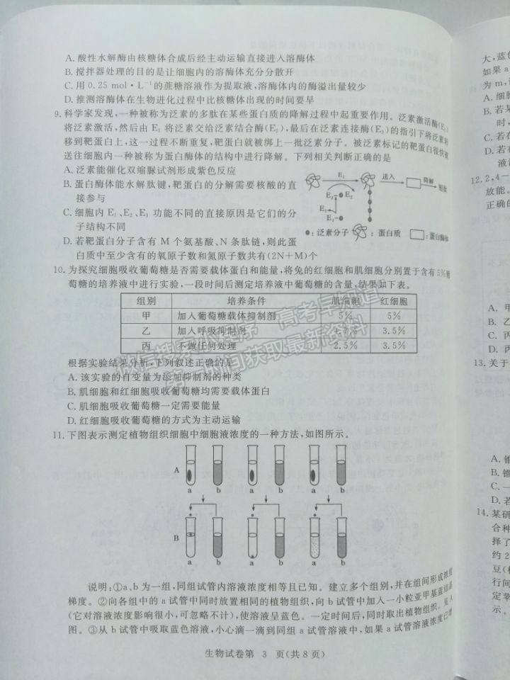 2022湖北省黃石市高三9月聯(lián)考生物試題及參考答案