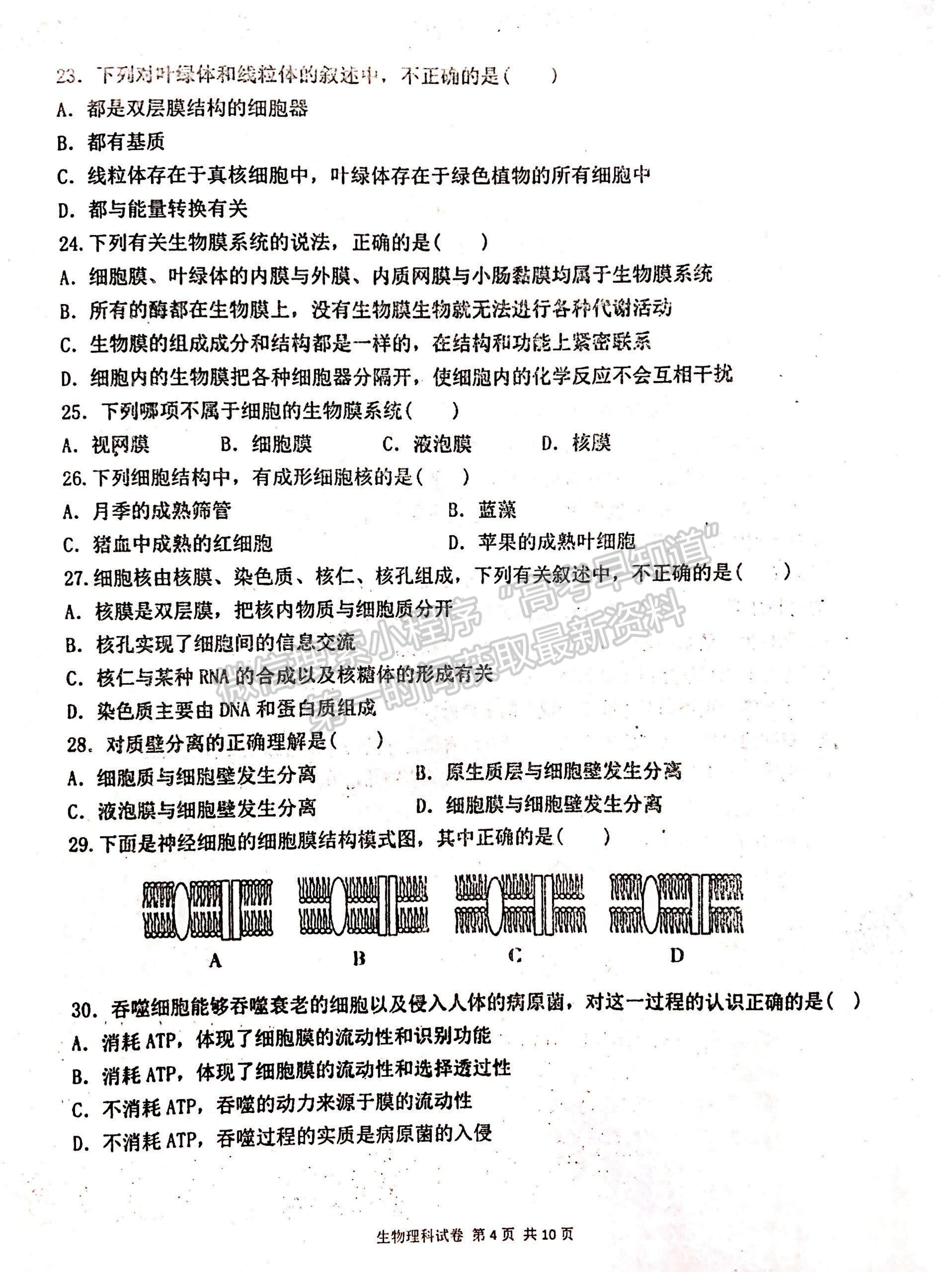 2022遼寧省協作校高二上學期期中考試生物試題及參考答案