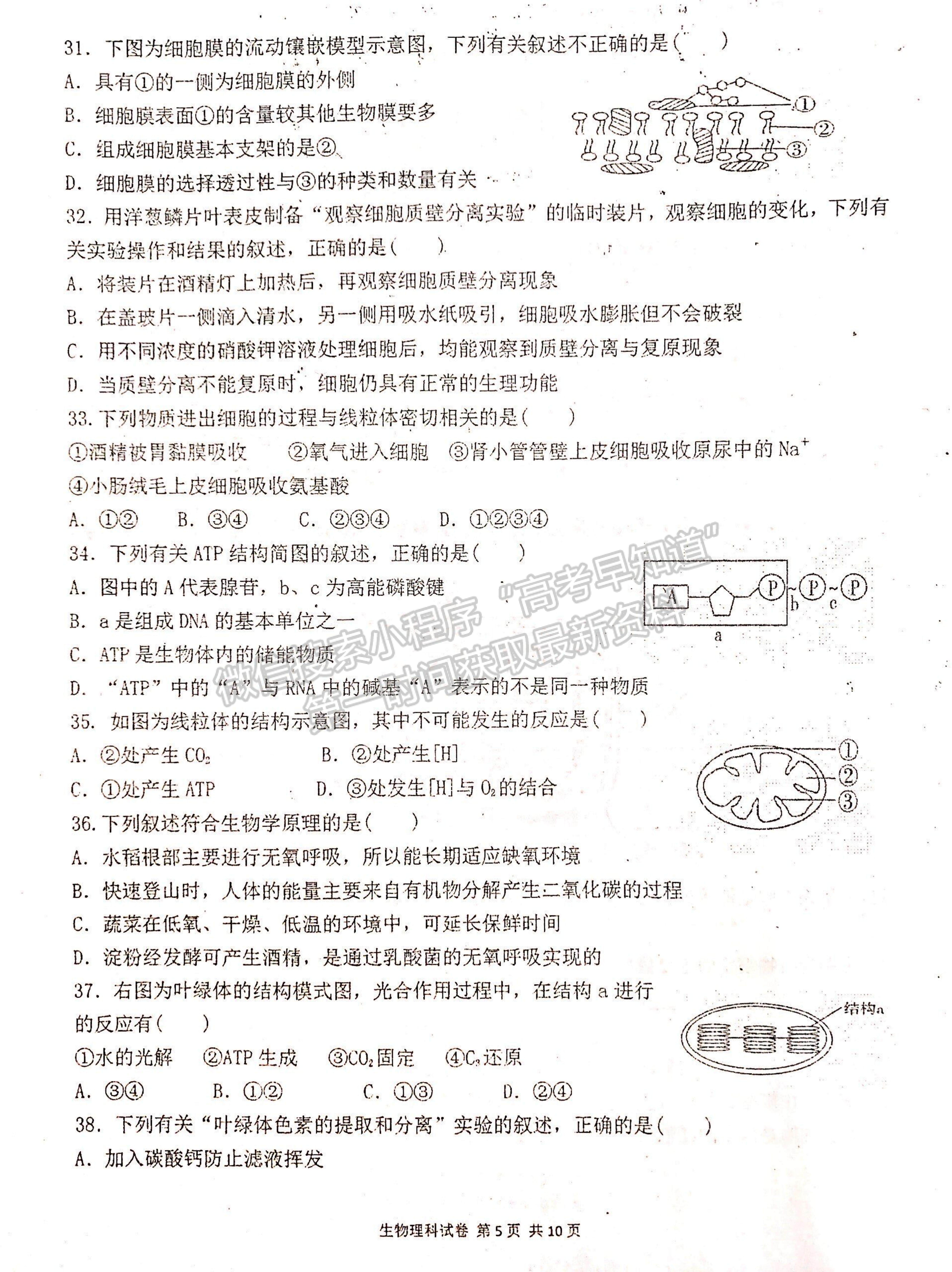 2022寧夏吳忠中學(xué)高二上學(xué)期期中考試生物試題及參考答案