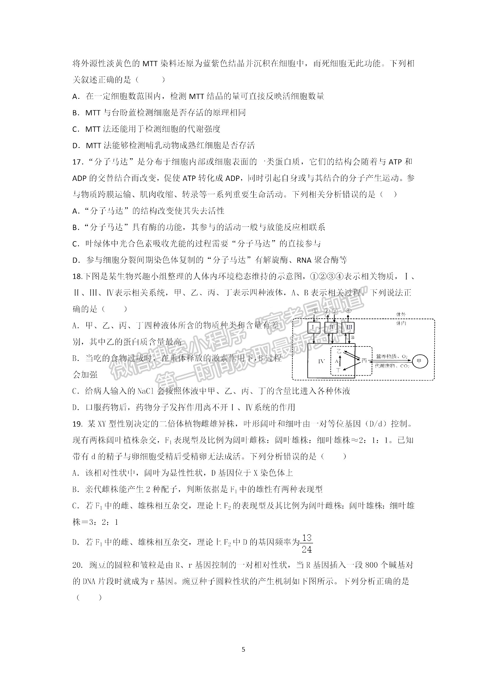 山東省濟南市萊蕪第一中學2021-2022學年高三上學期期中考試 生物試題及答案