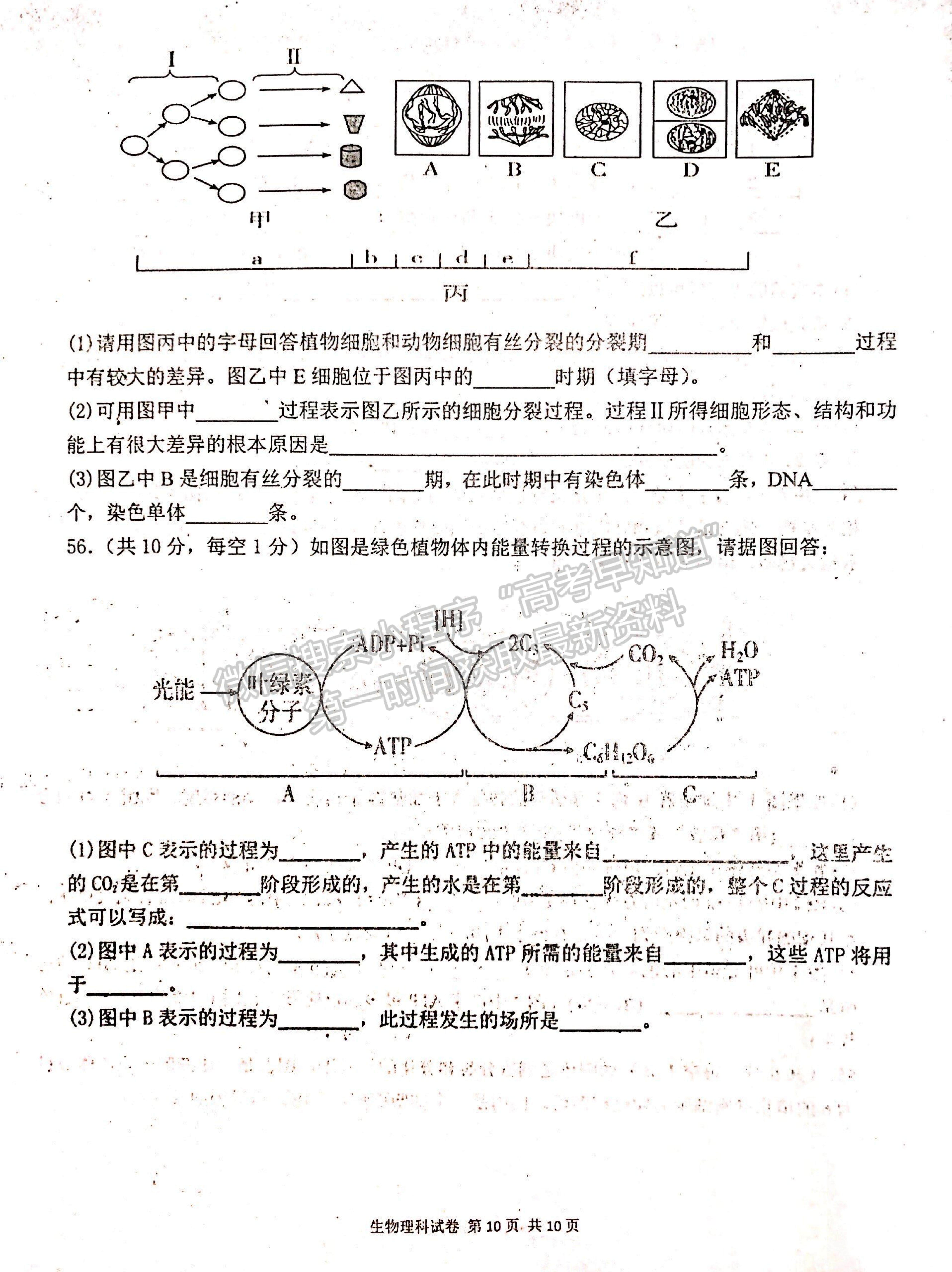 2022遼寧省協(xié)作校高二上學期期中考試生物試題及參考答案