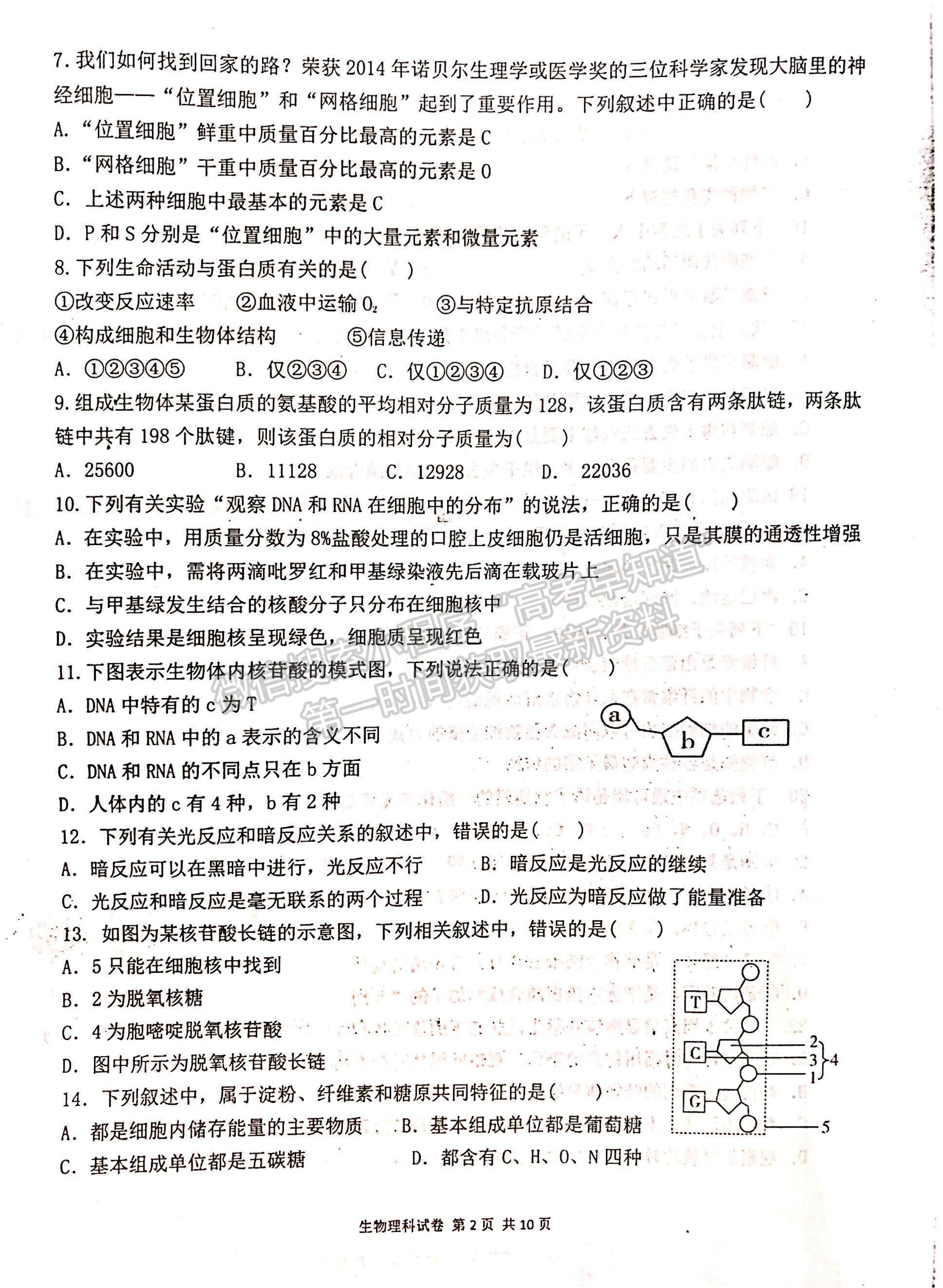 2022寧夏吳忠中學(xué)高二上學(xué)期期中考試生物試題及參考答案