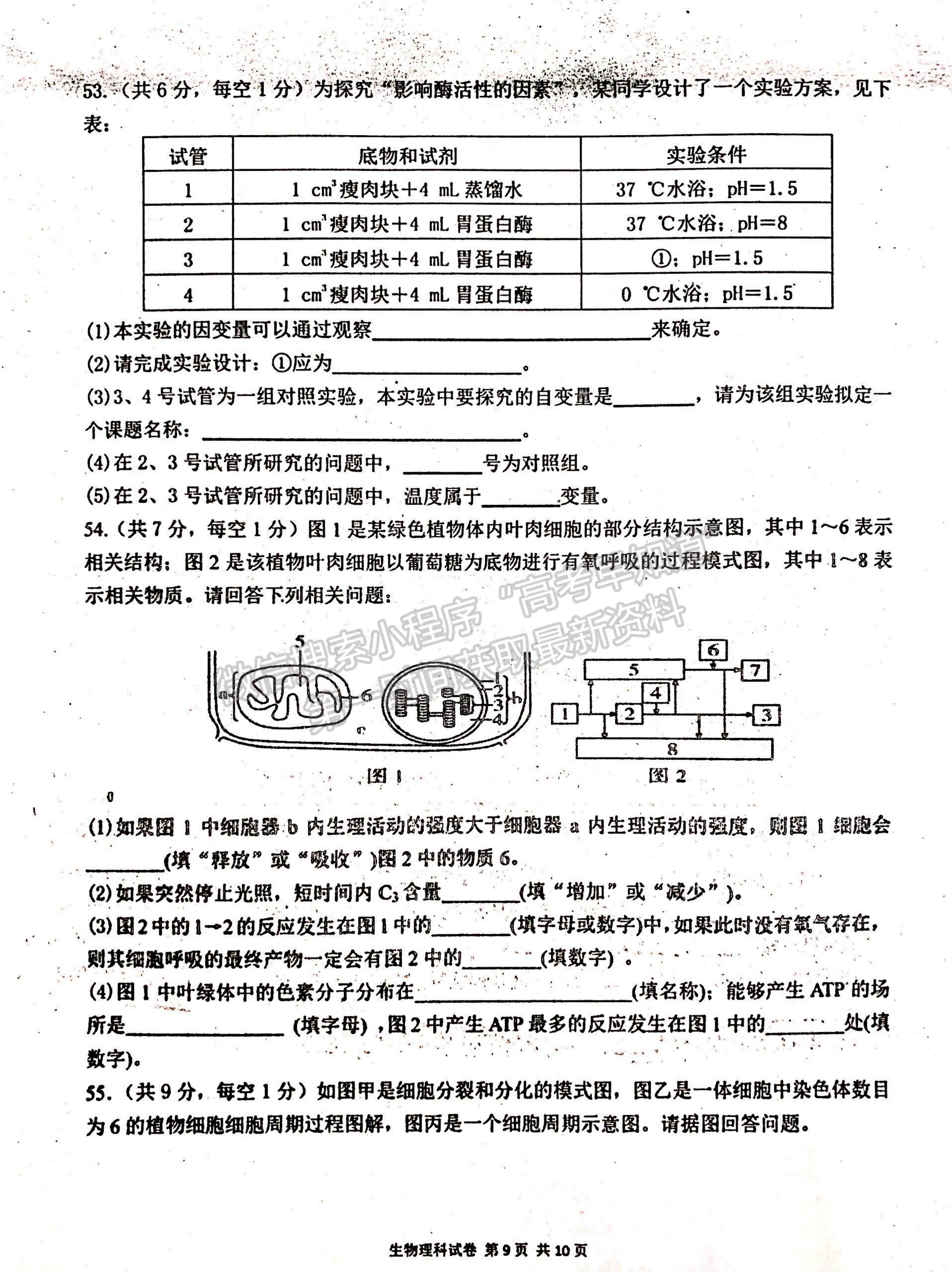 2022寧夏吳忠中學(xué)高二上學(xué)期期中考試生物試題及參考答案