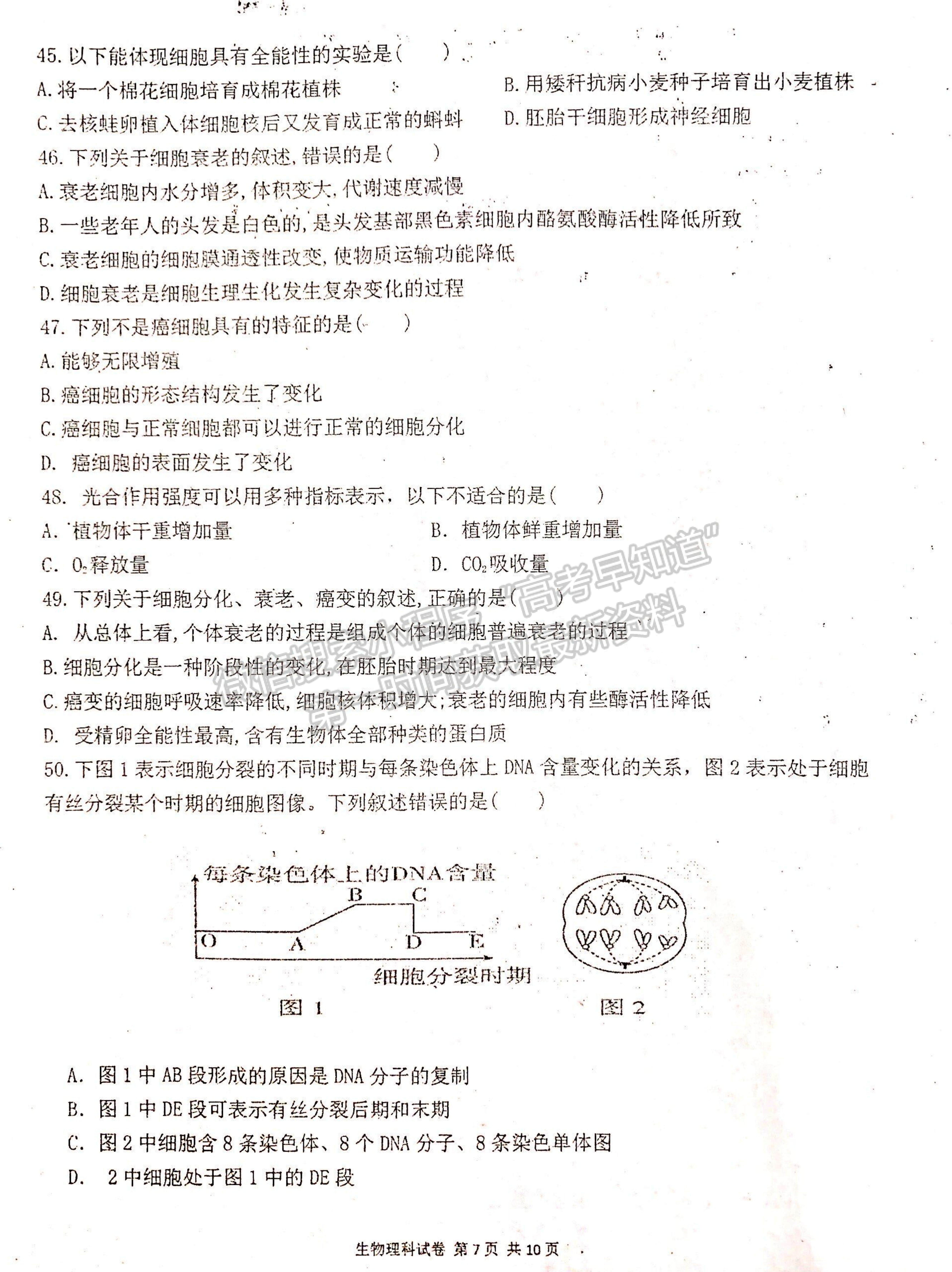 2022寧夏吳忠中學(xué)高二上學(xué)期期中考試生物試題及參考答案