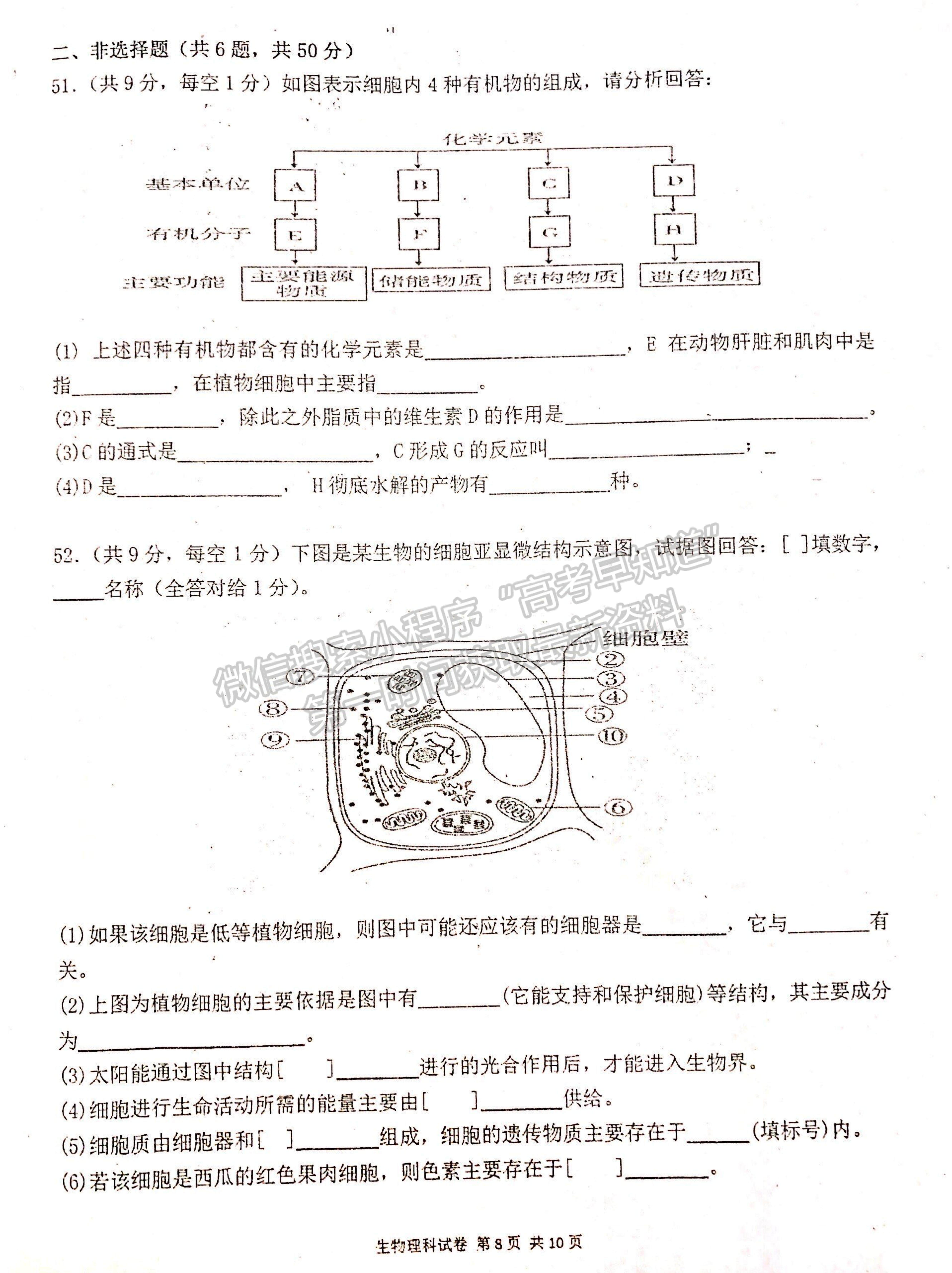 2022寧夏吳忠中學(xué)高二上學(xué)期期中考試生物試題及參考答案