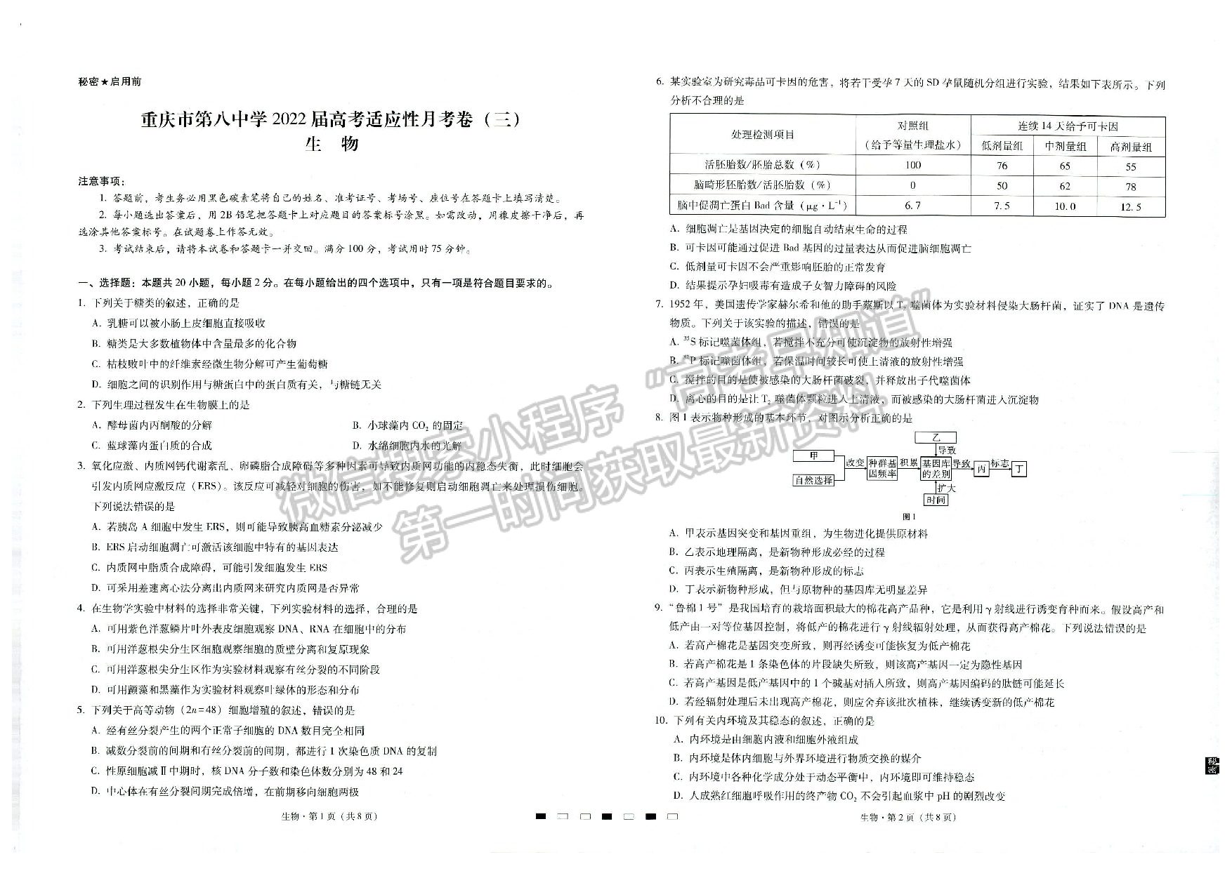  2022重慶八中高考適應性月考卷（三）生物試題及參考答案