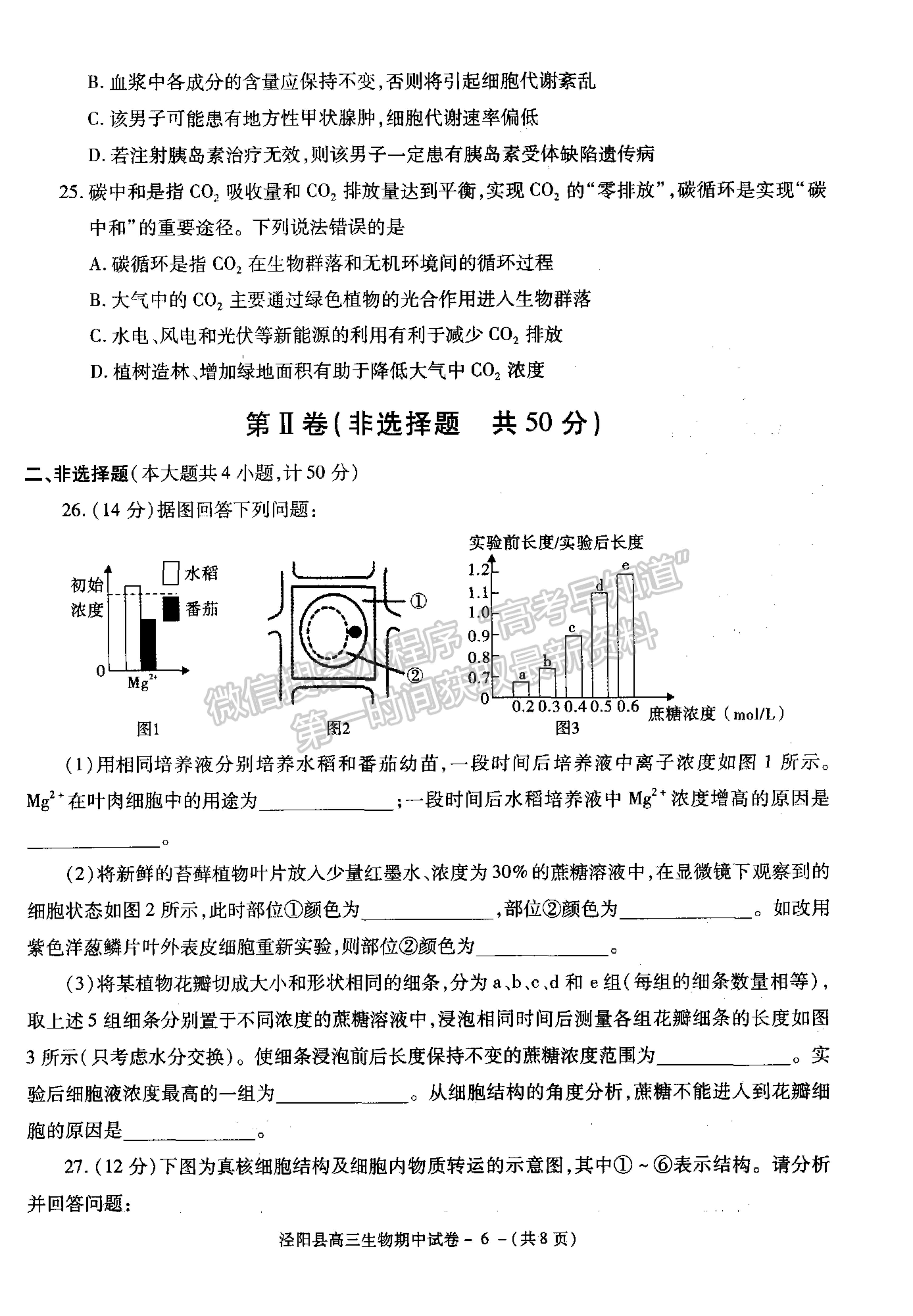 2022陜西省涇陽(yáng)縣高三上學(xué)期期中考試生物試卷及參考答案