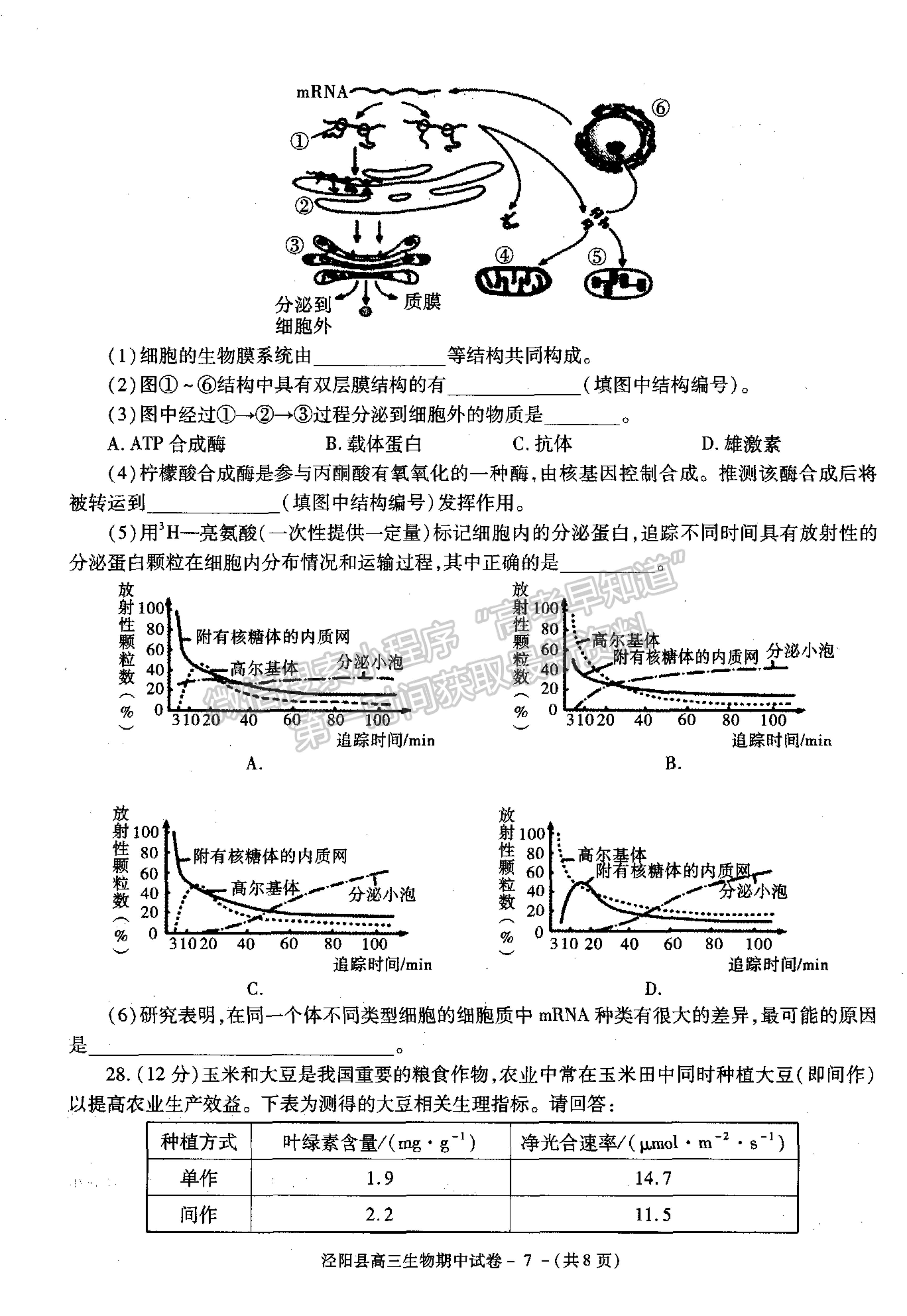 2022陜西省涇陽縣高三上學(xué)期期中考試生物試卷及參考答案