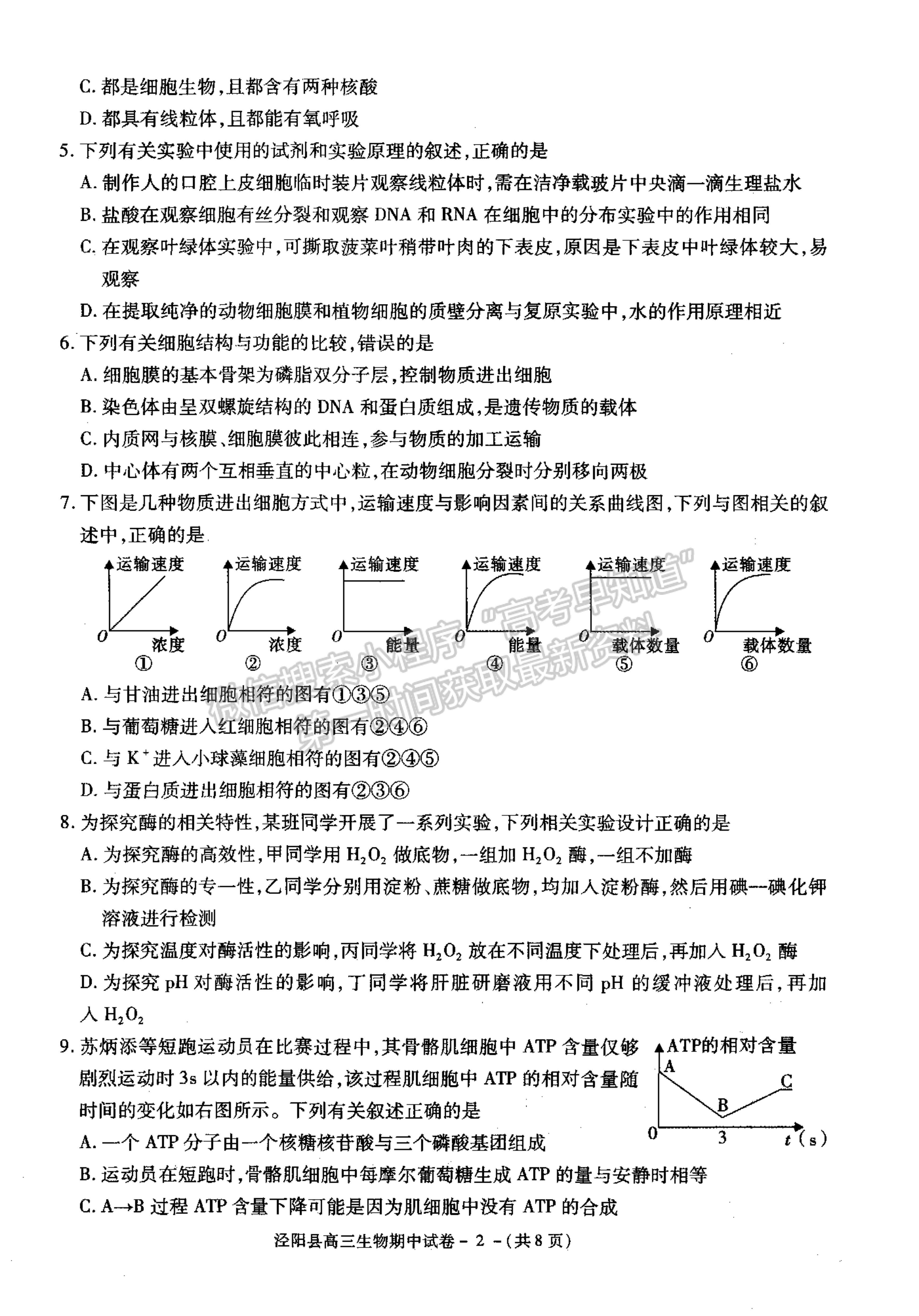 2022陜西省涇陽縣高三上學(xué)期期中考試生物試卷及參考答案