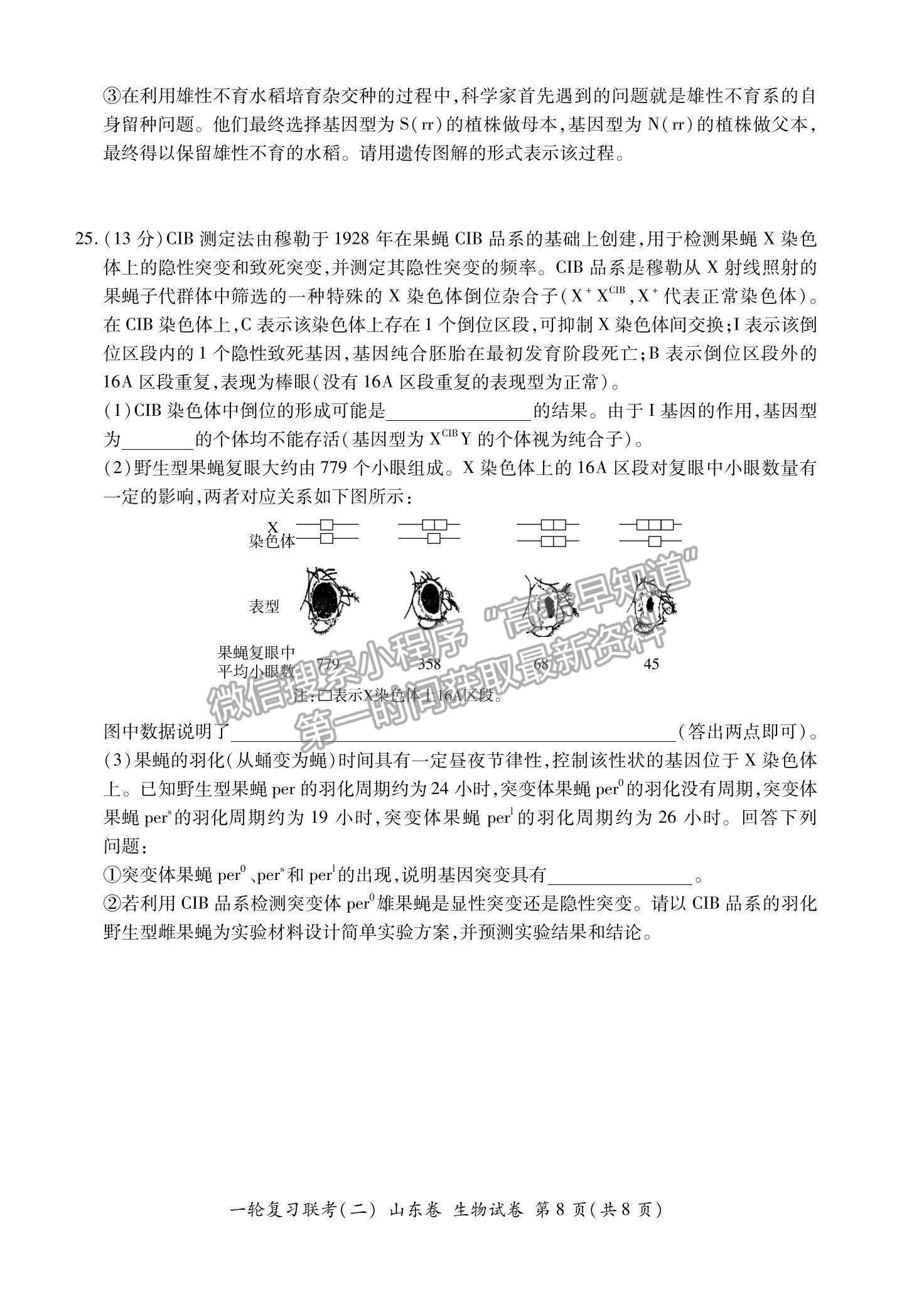 2022山東省高三上學(xué)期11月一輪復(fù)習(xí)聯(lián)考（二）生物試題及參考答案