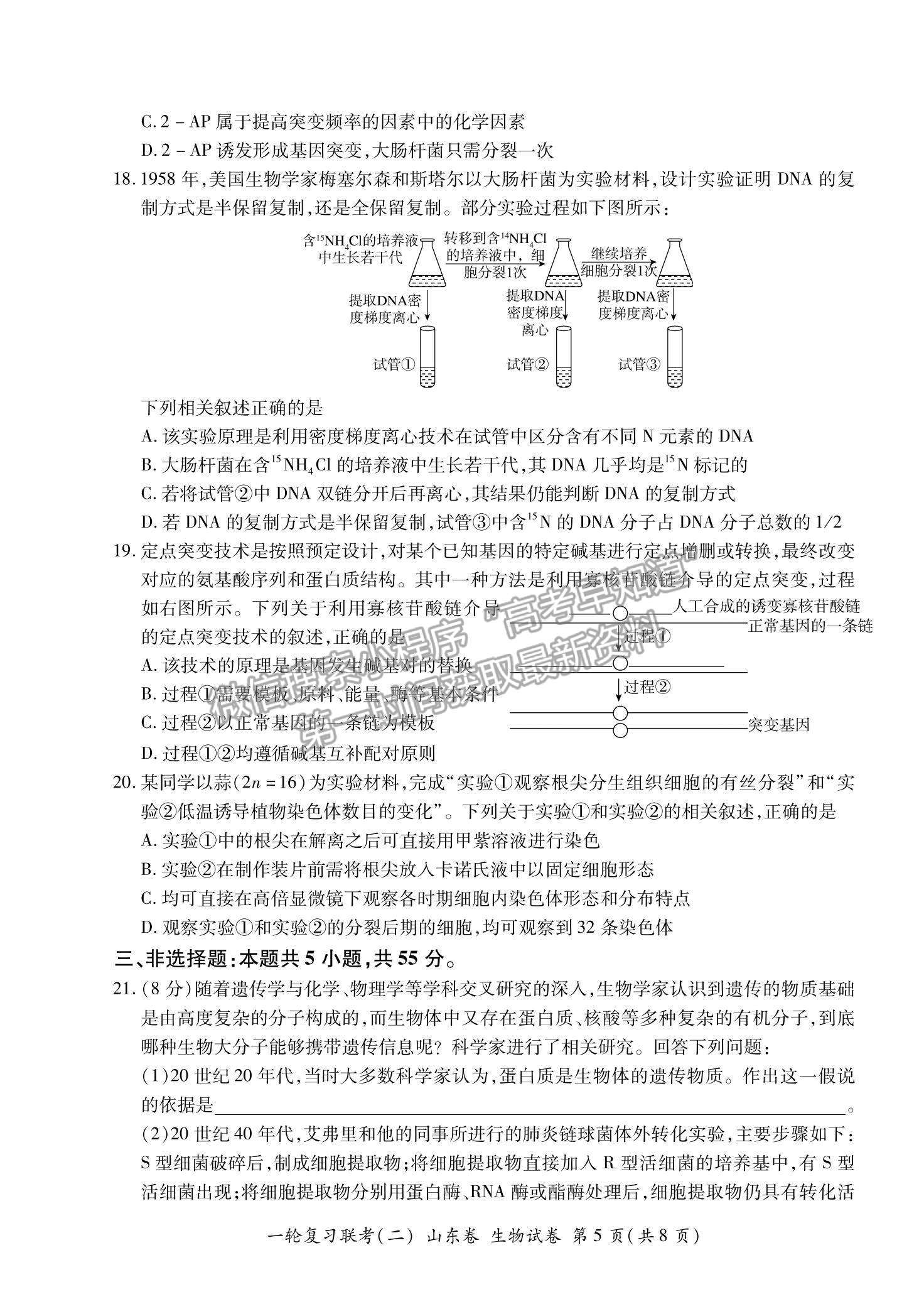 2022山東省高三上學(xué)期11月一輪復(fù)習(xí)聯(lián)考（二）生物試題及參考答案